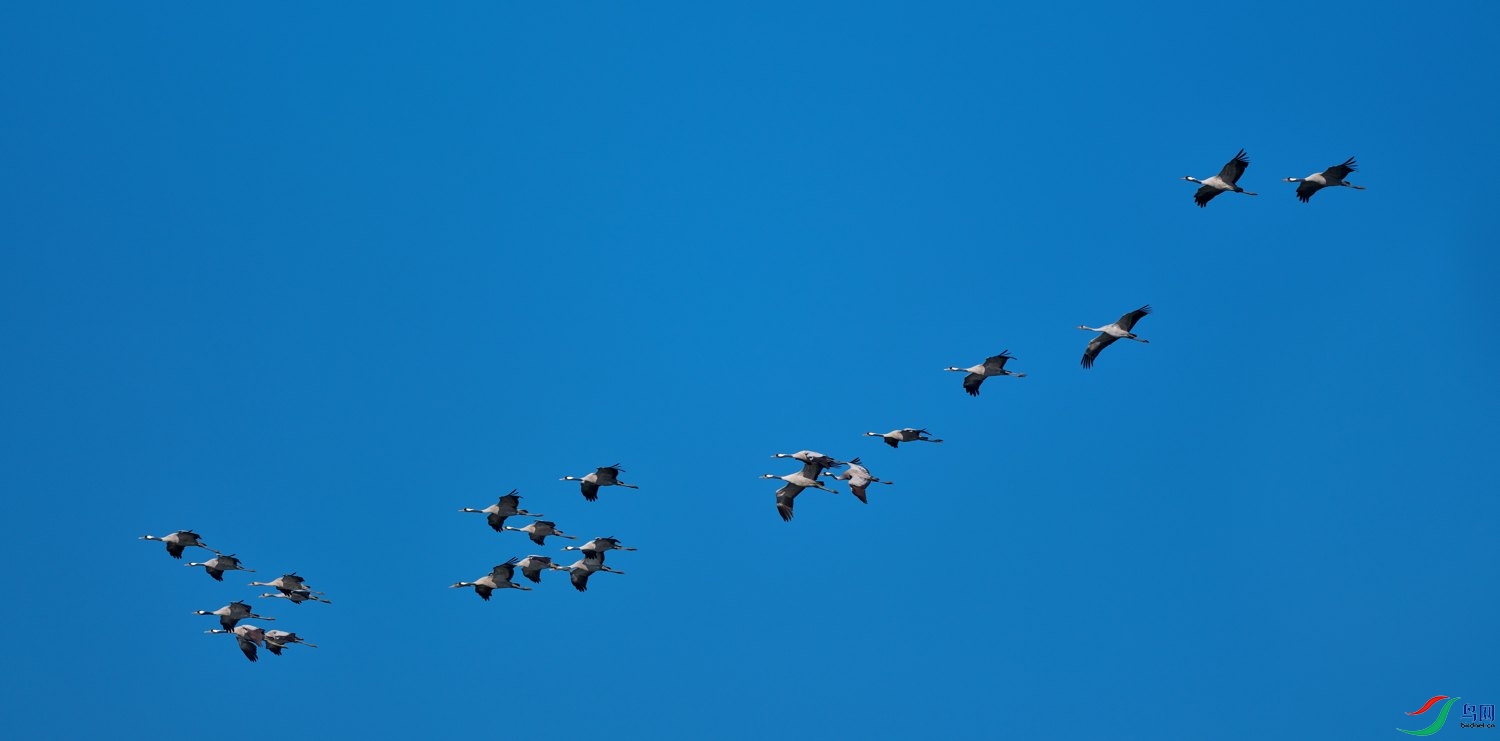 DSCF8433 1.jpg