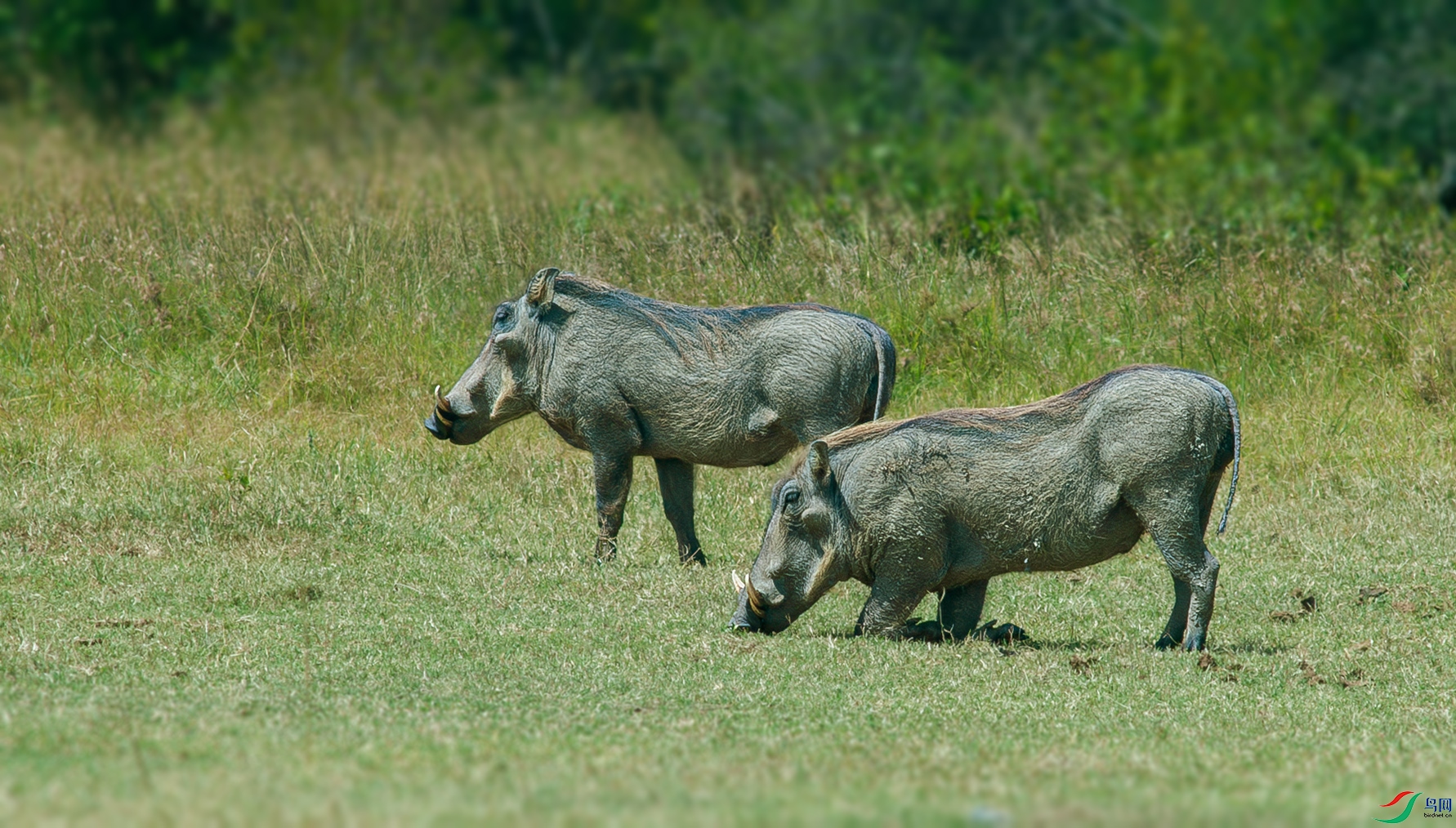 DSC_6300_.jpg