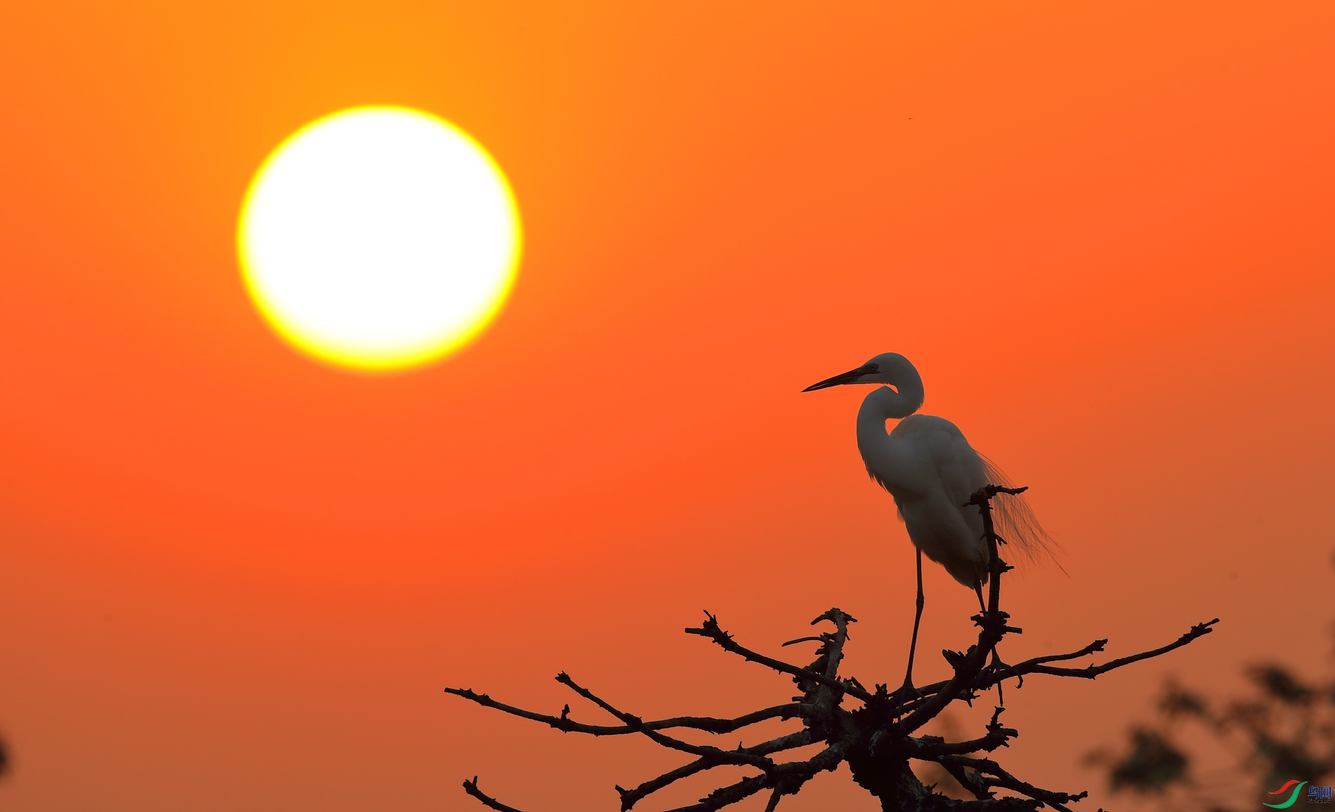 B12I0772�� - ����.JPG