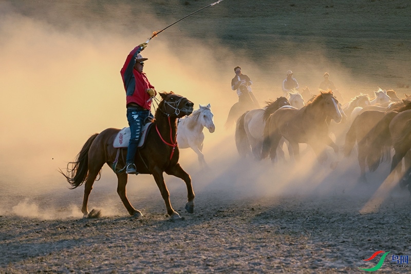 �������