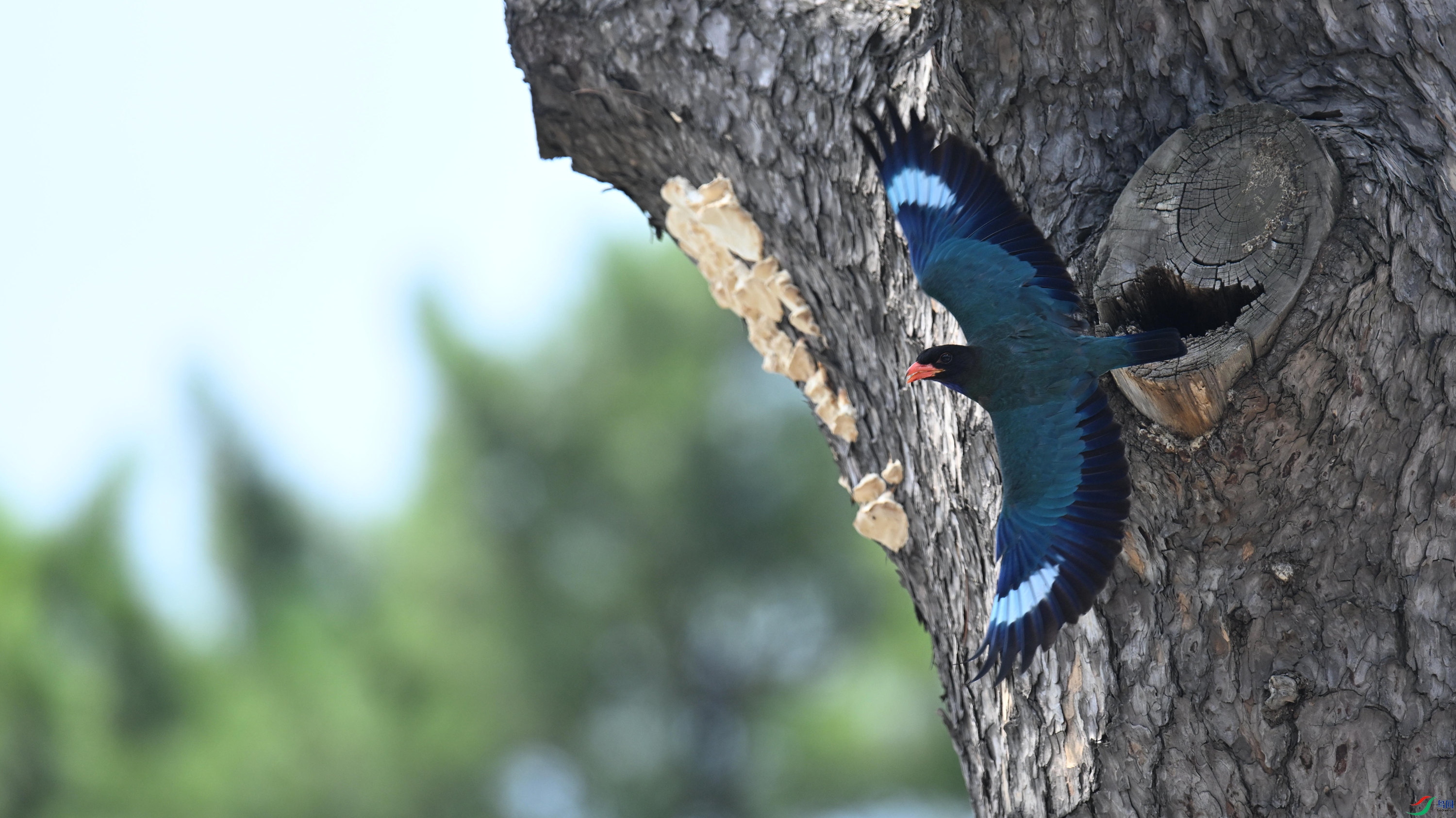 ������ (8).jpg