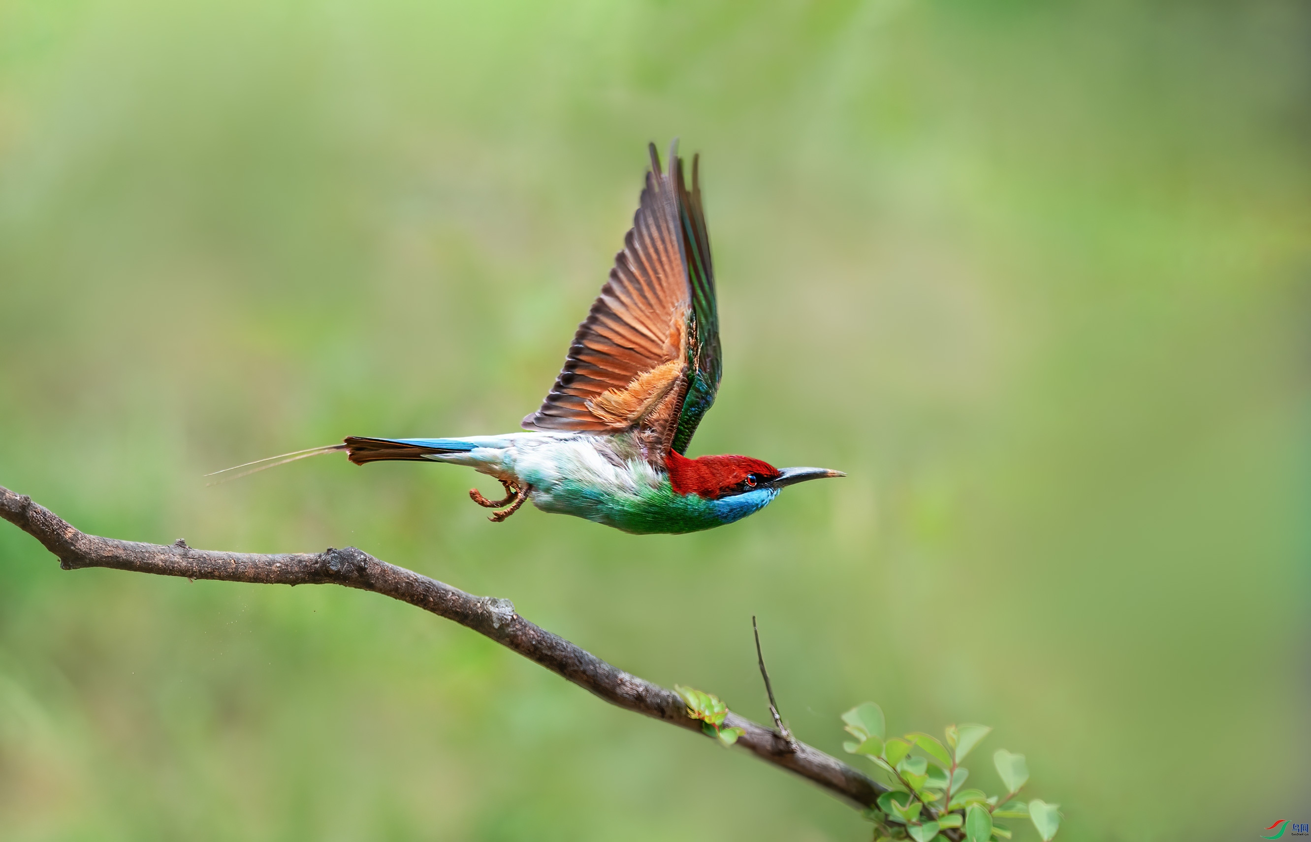 DSC01237-��.jpg