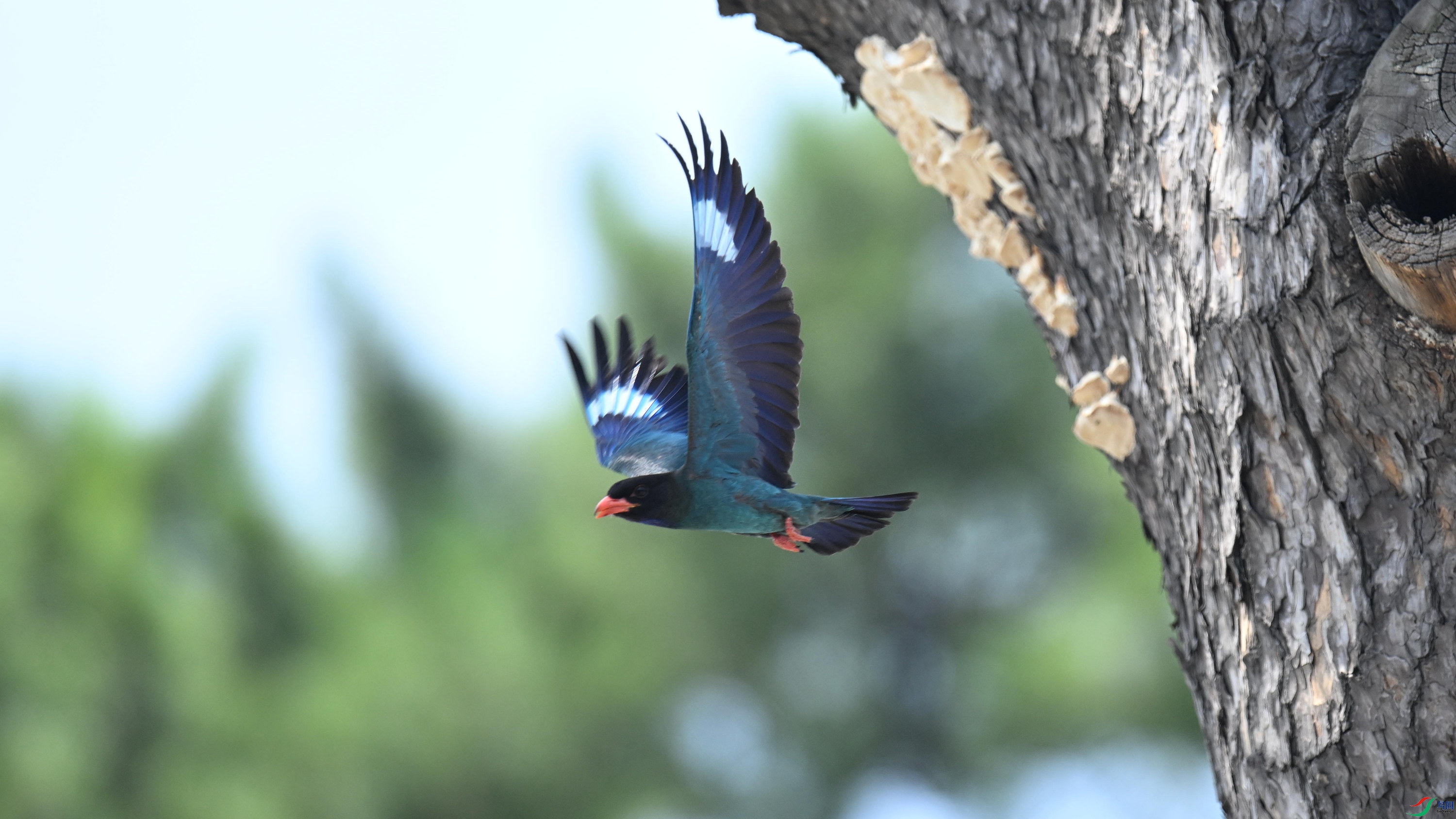 ������ (10).jpg