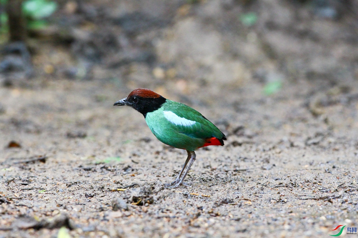 2.JPG