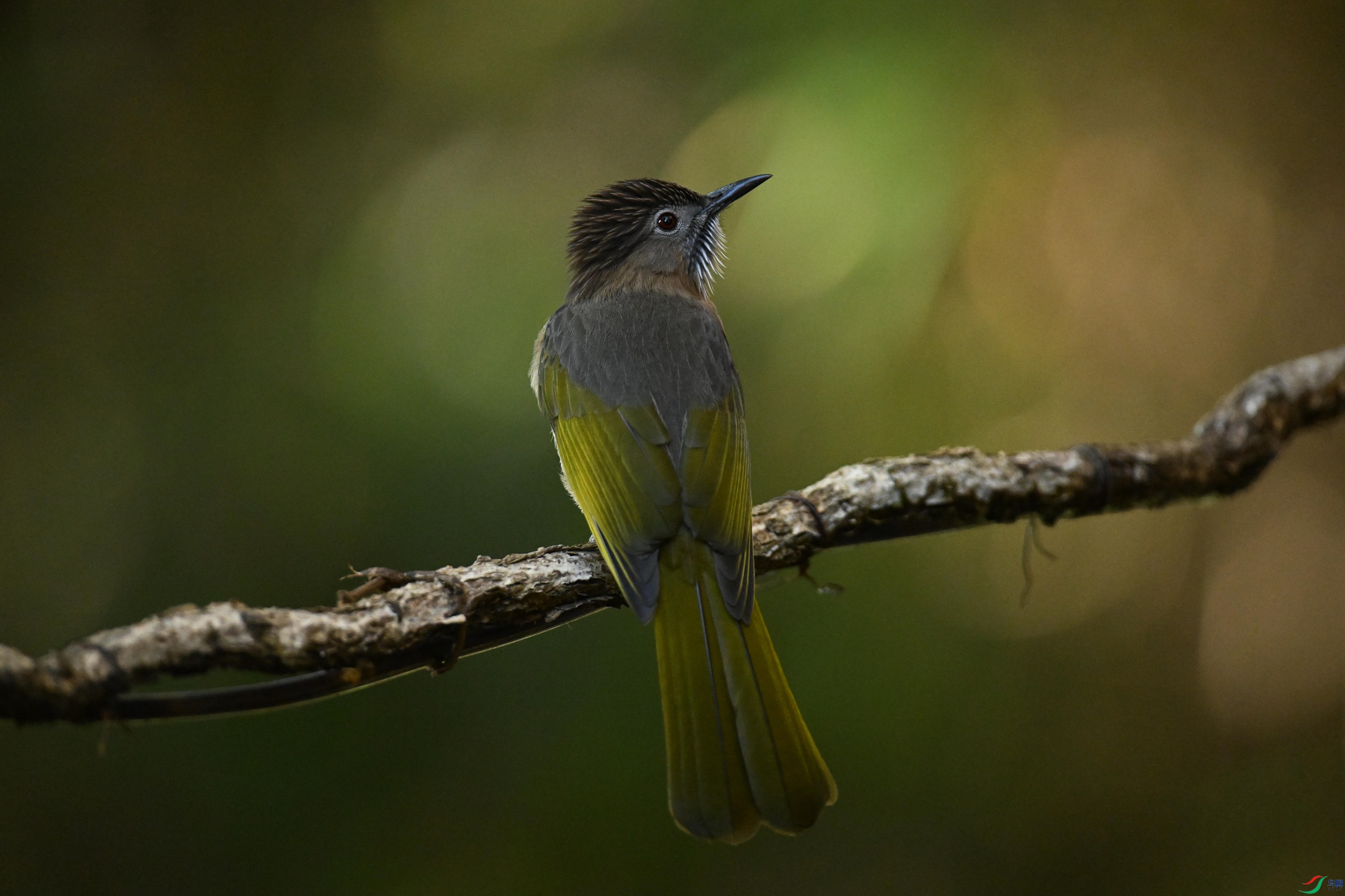 ���� (7).jpg