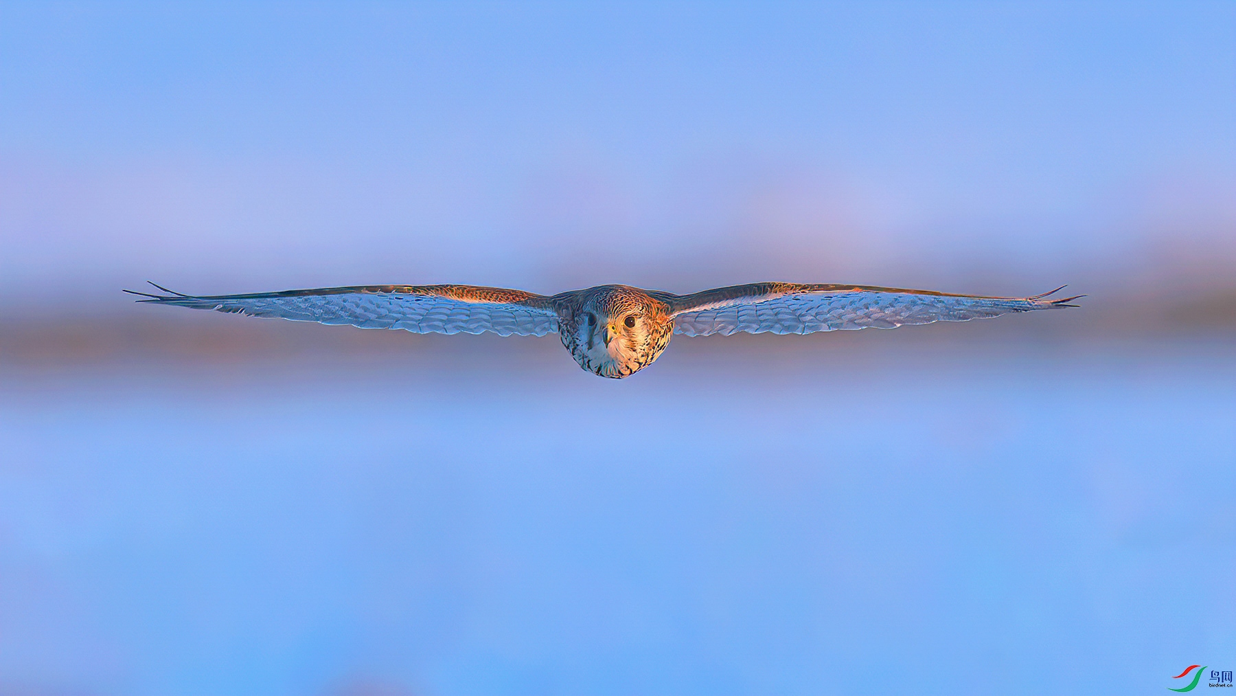 _L108597-1.jpg