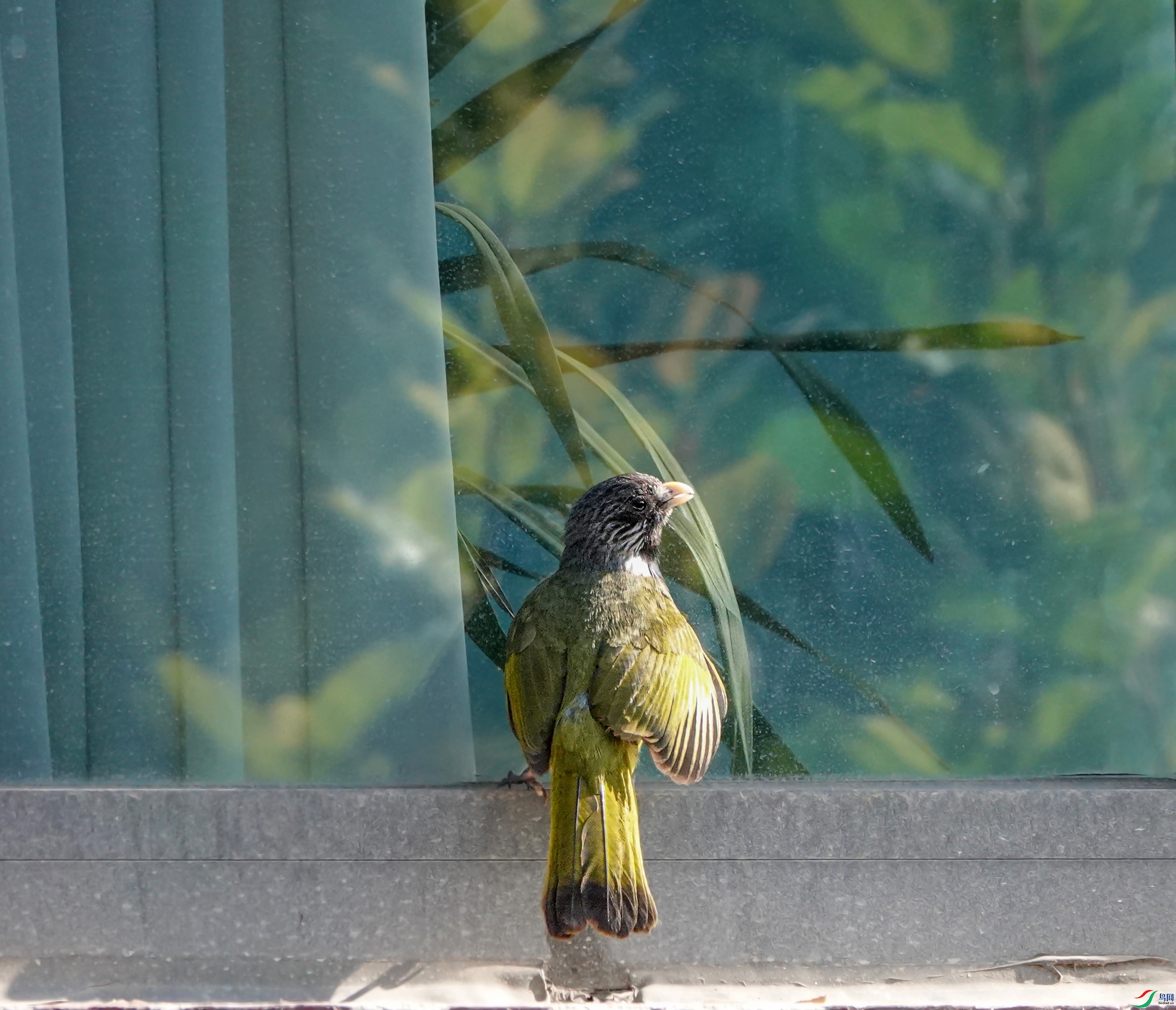 DSC08796.JPG