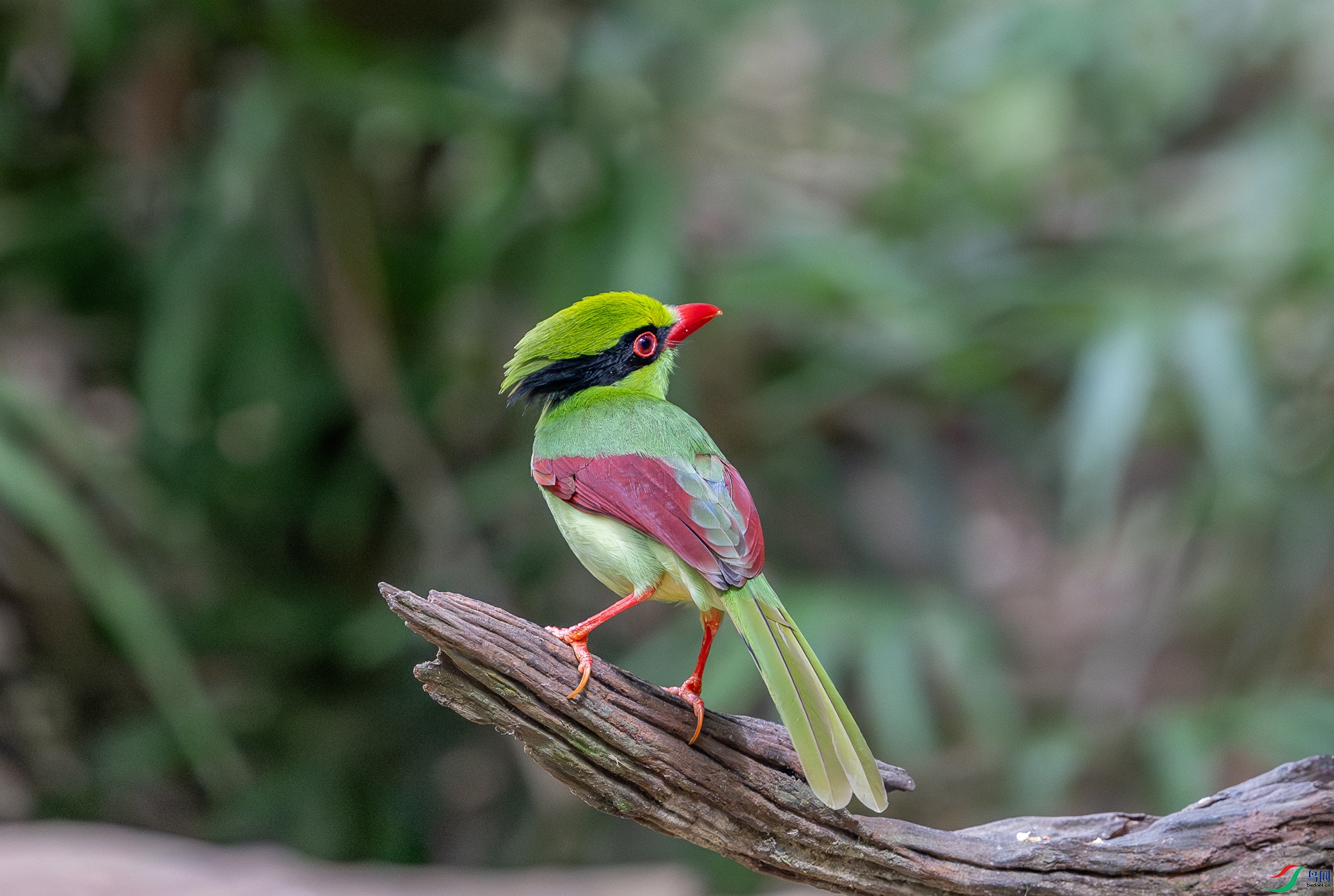 DSC_5618.jpg