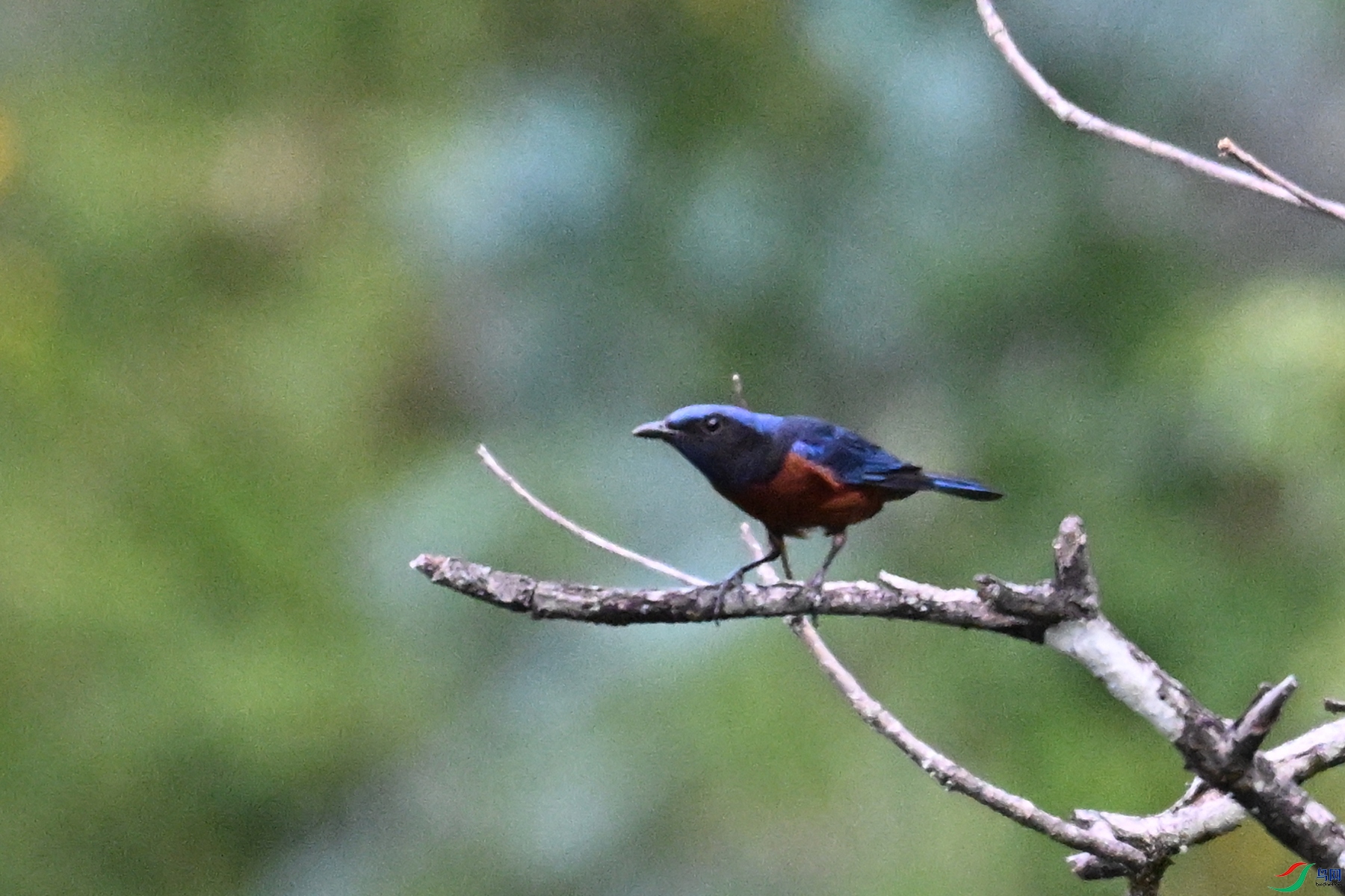 DSC_1930.JPG