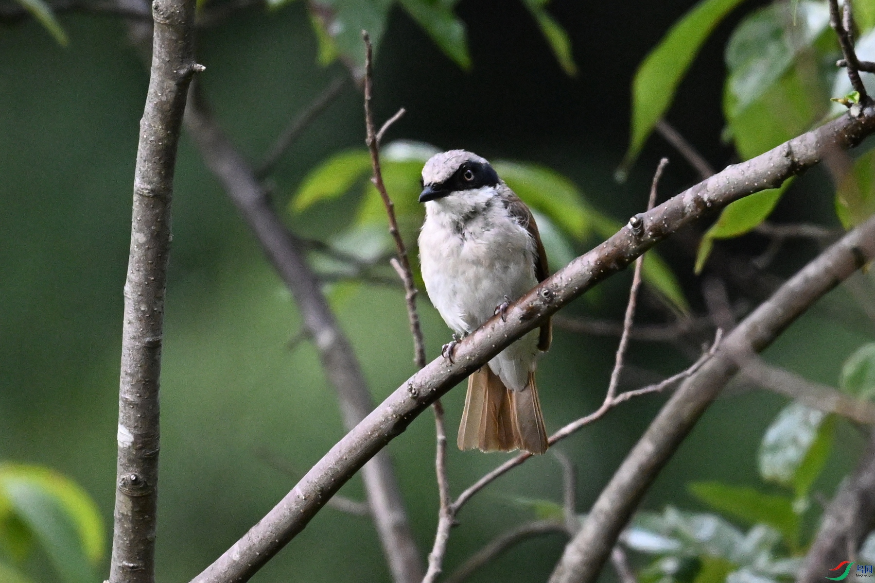 DSC_1938.JPG