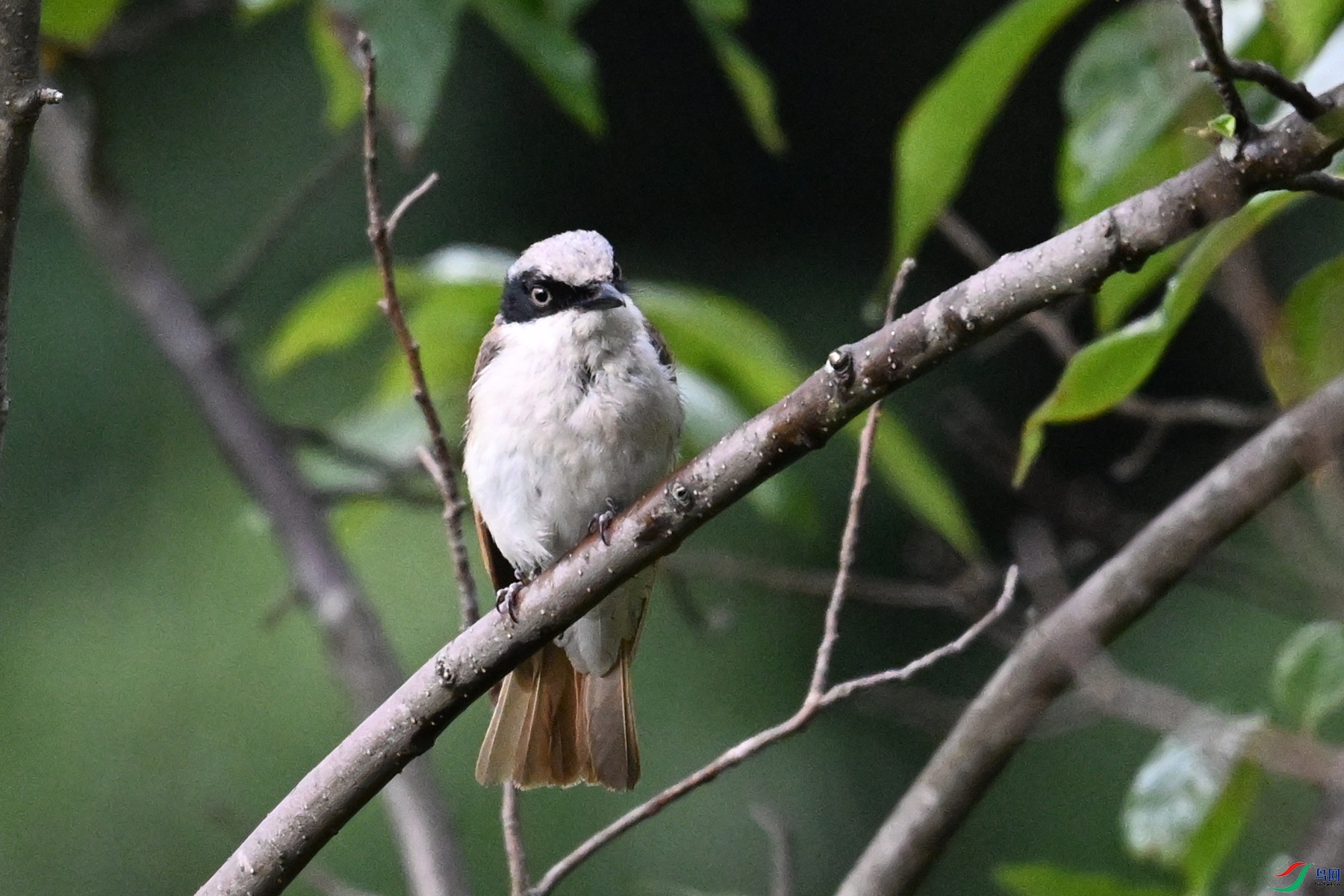 DSC_1946.JPG