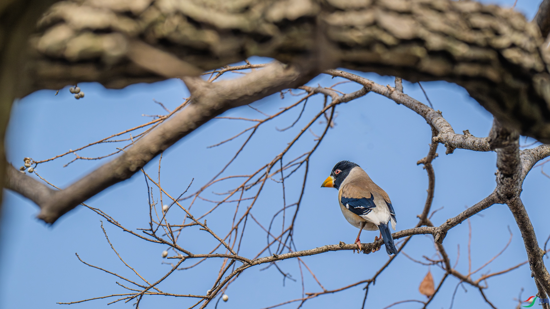 DSC_4569-1 ����_����.jpg