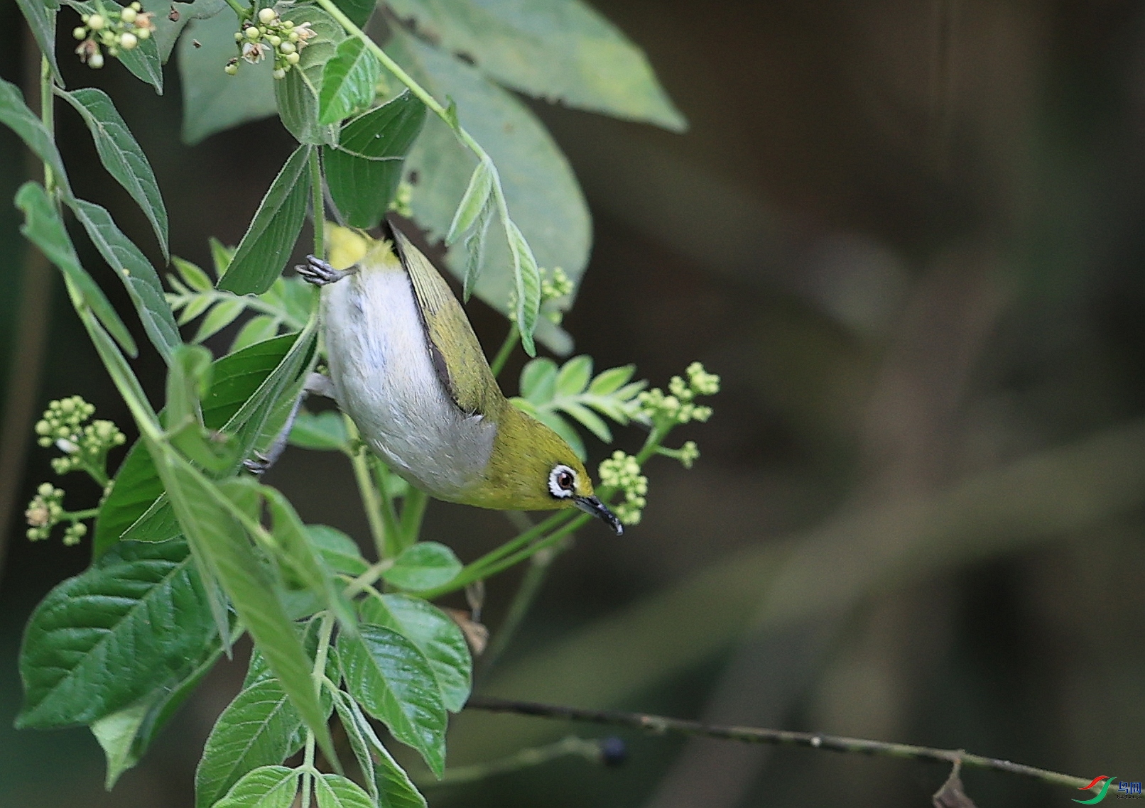 AK1I7892�� ��1.JPG