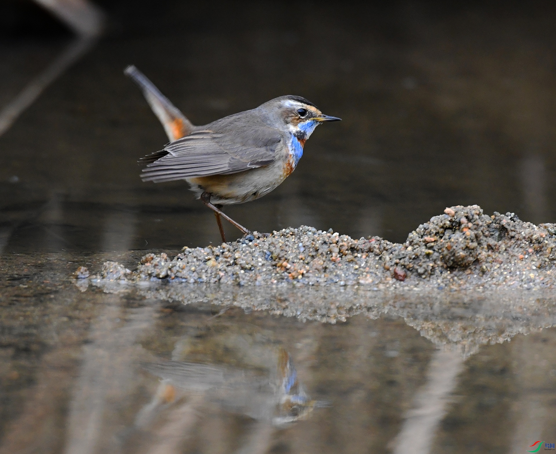 DSC_2070.jpg