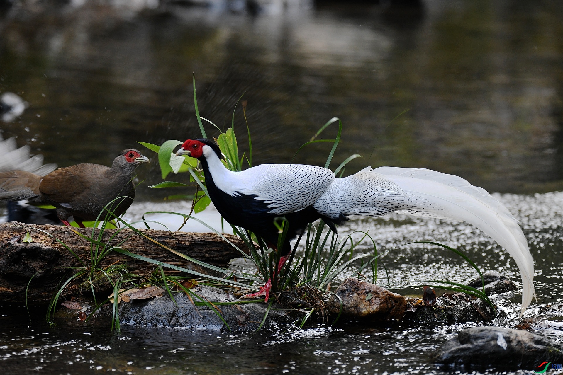 DSC_5582.jpg