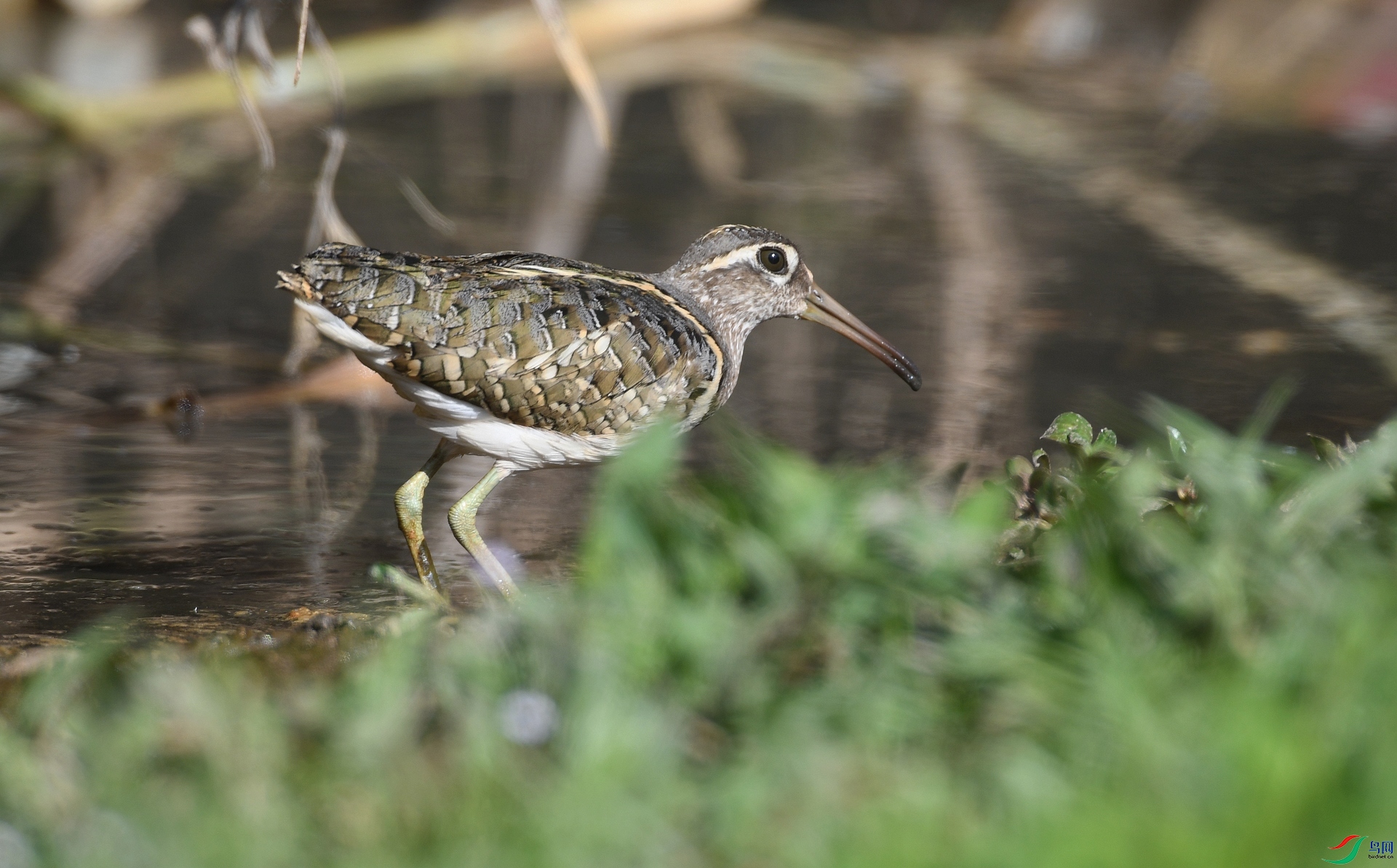 DSC_5851.jpg