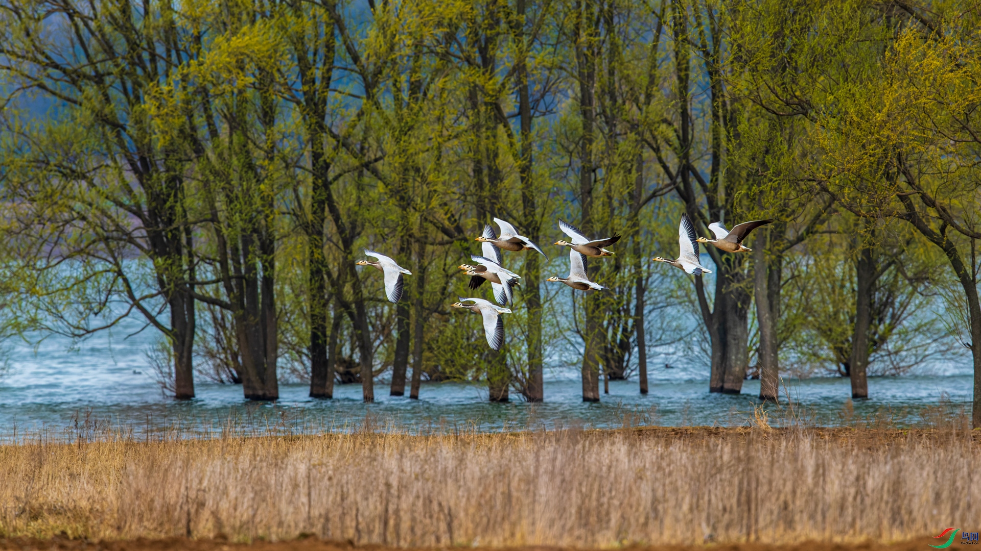 _R2I0438-CR2_DxO_DeepPRIME.jpg