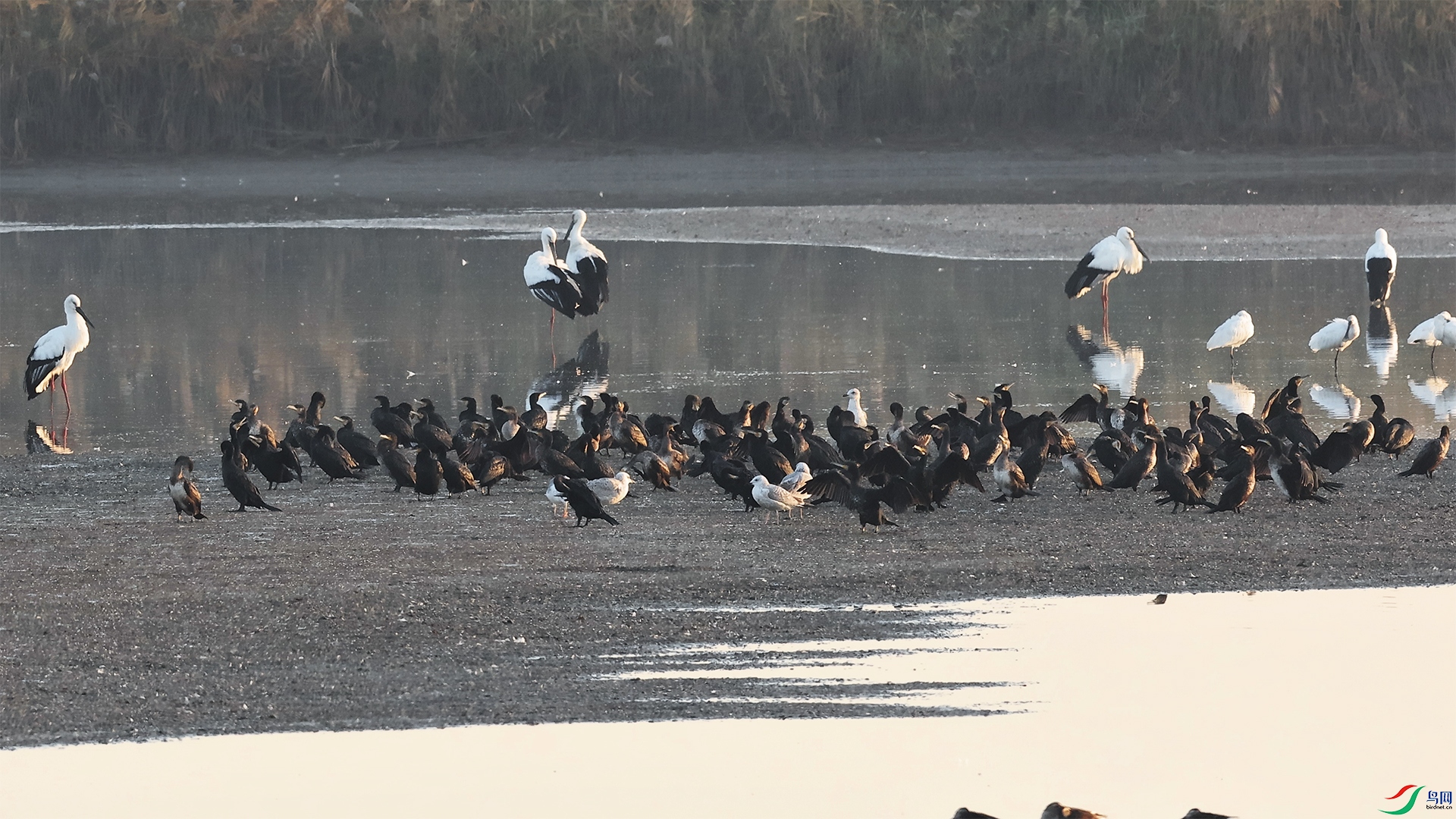 2��25�� (1)(1)-1.jpg