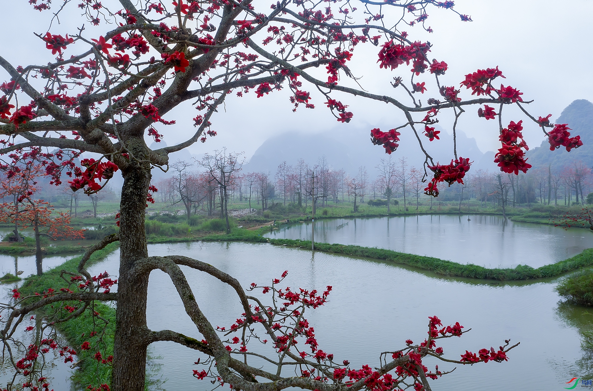 DJI_0073-1 ����.jpg