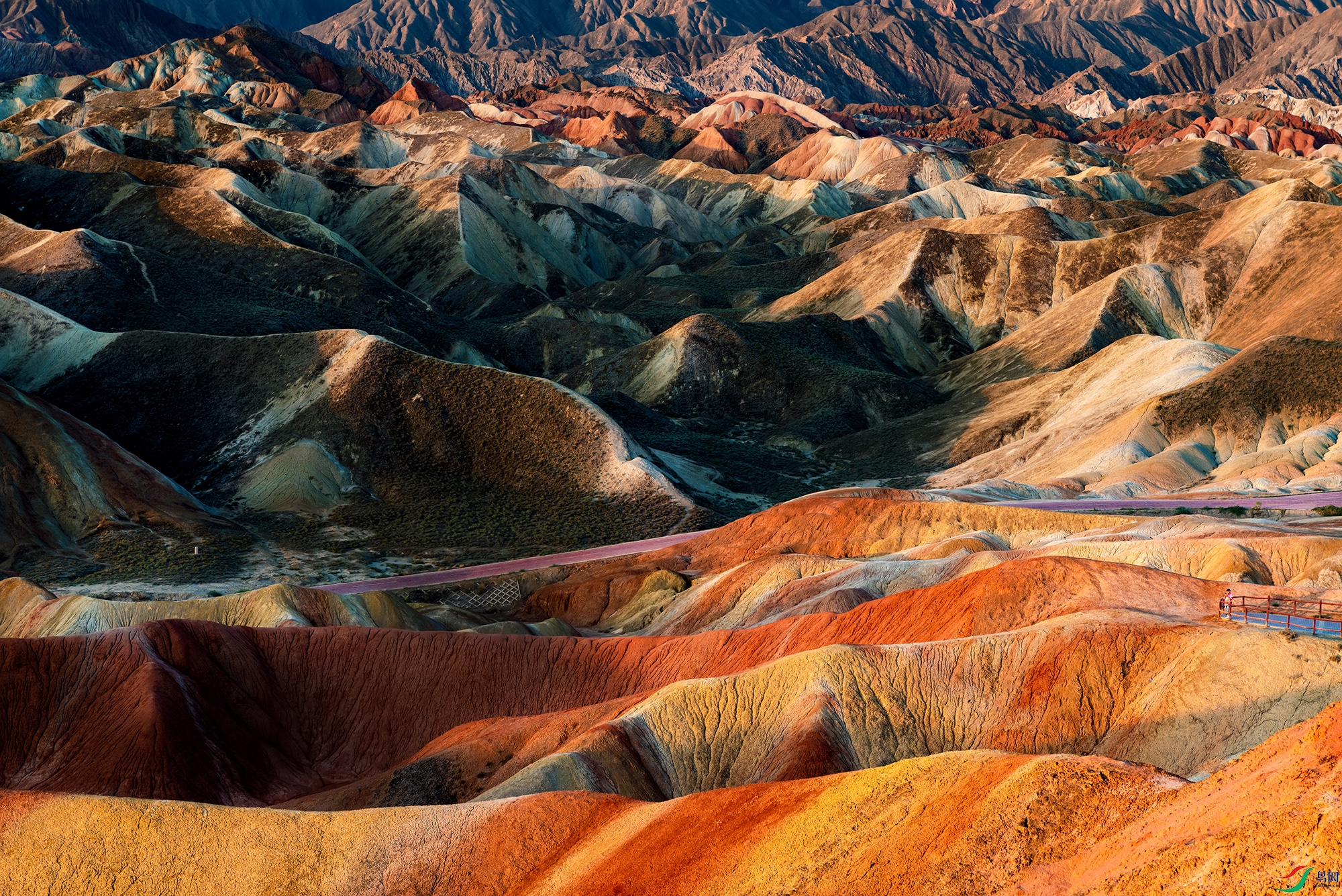 DSC_0005a.jpg