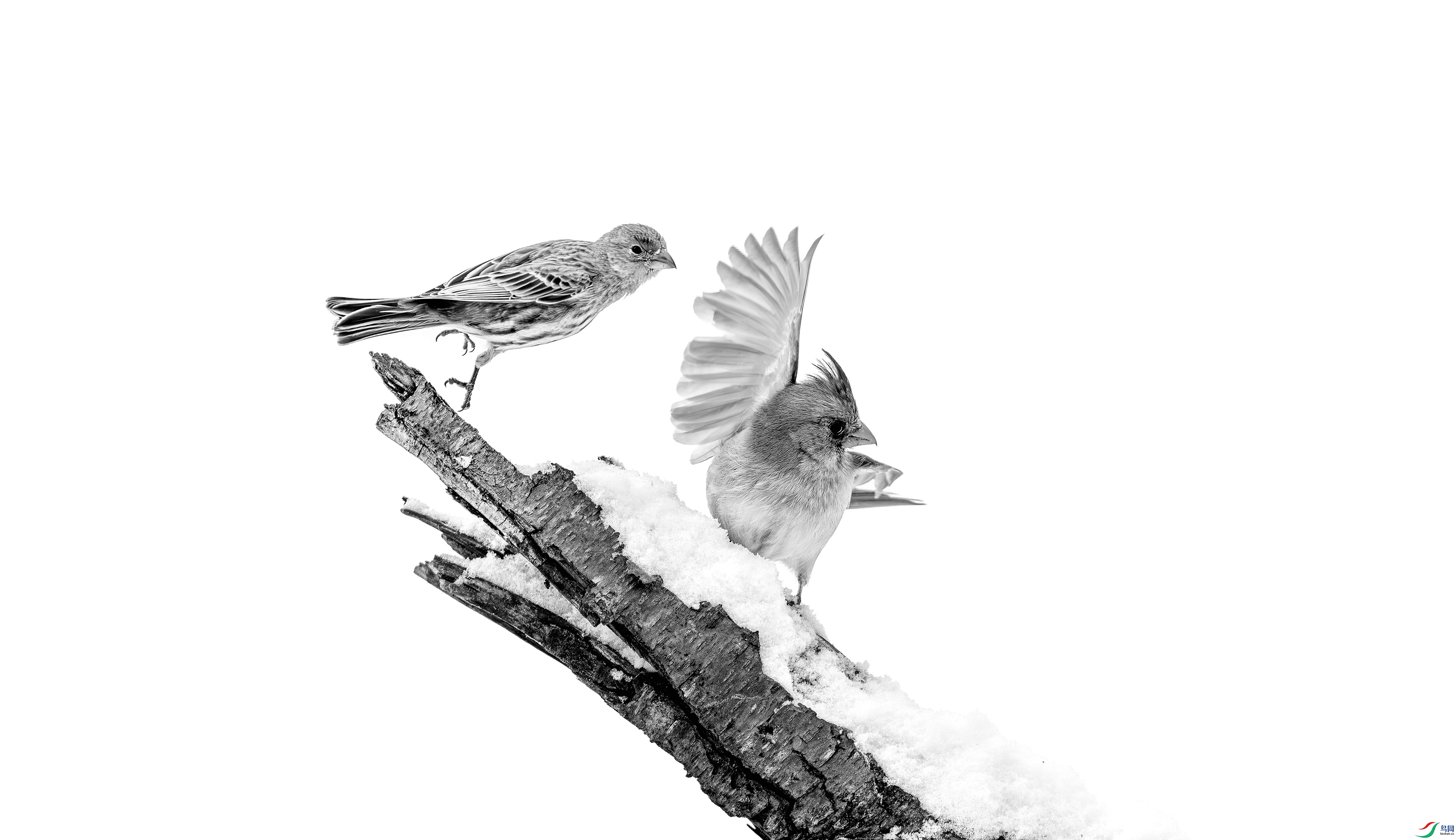 412A0916-1-2-1_����=00.jpg