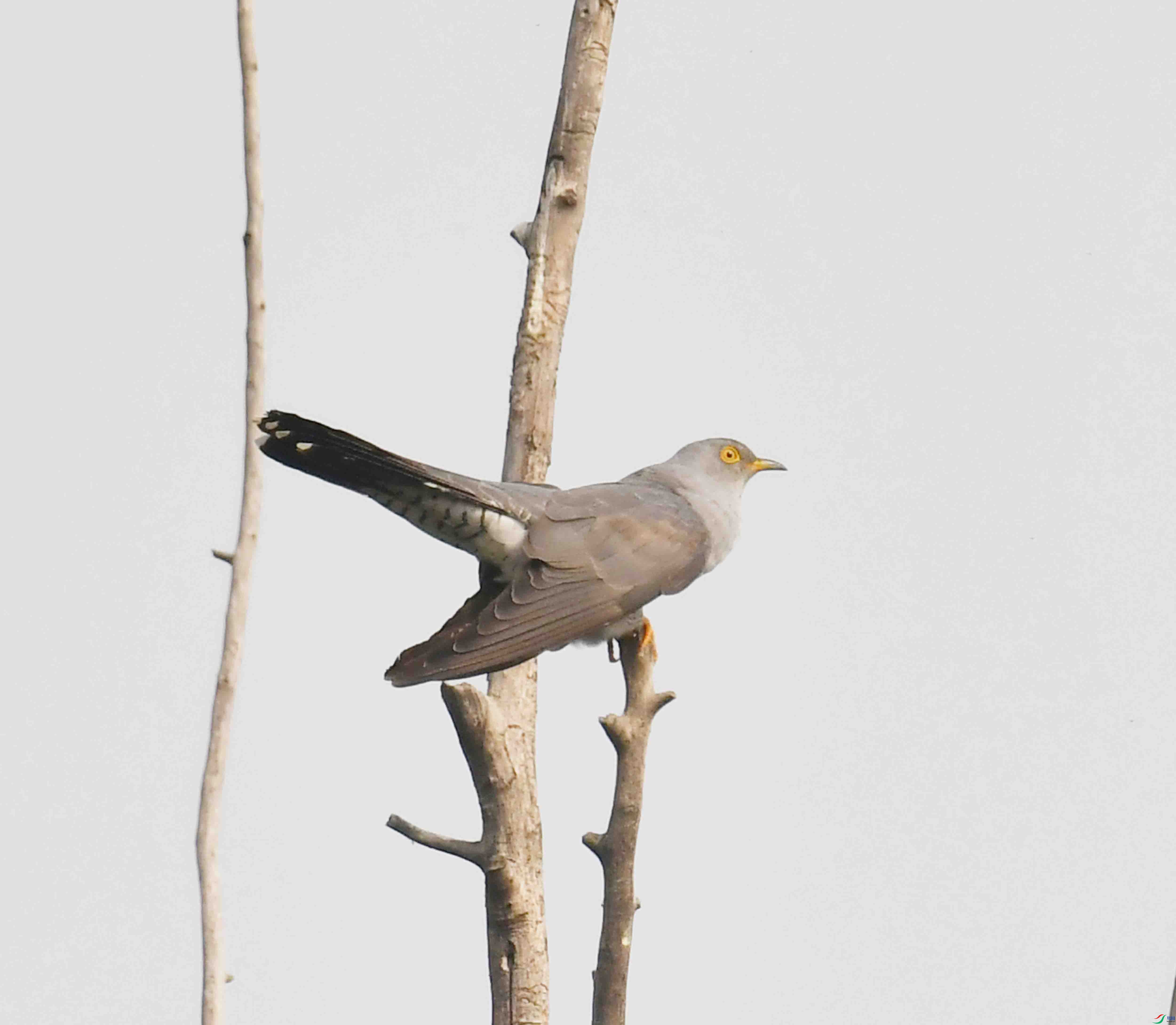 DSC_2229.JPG