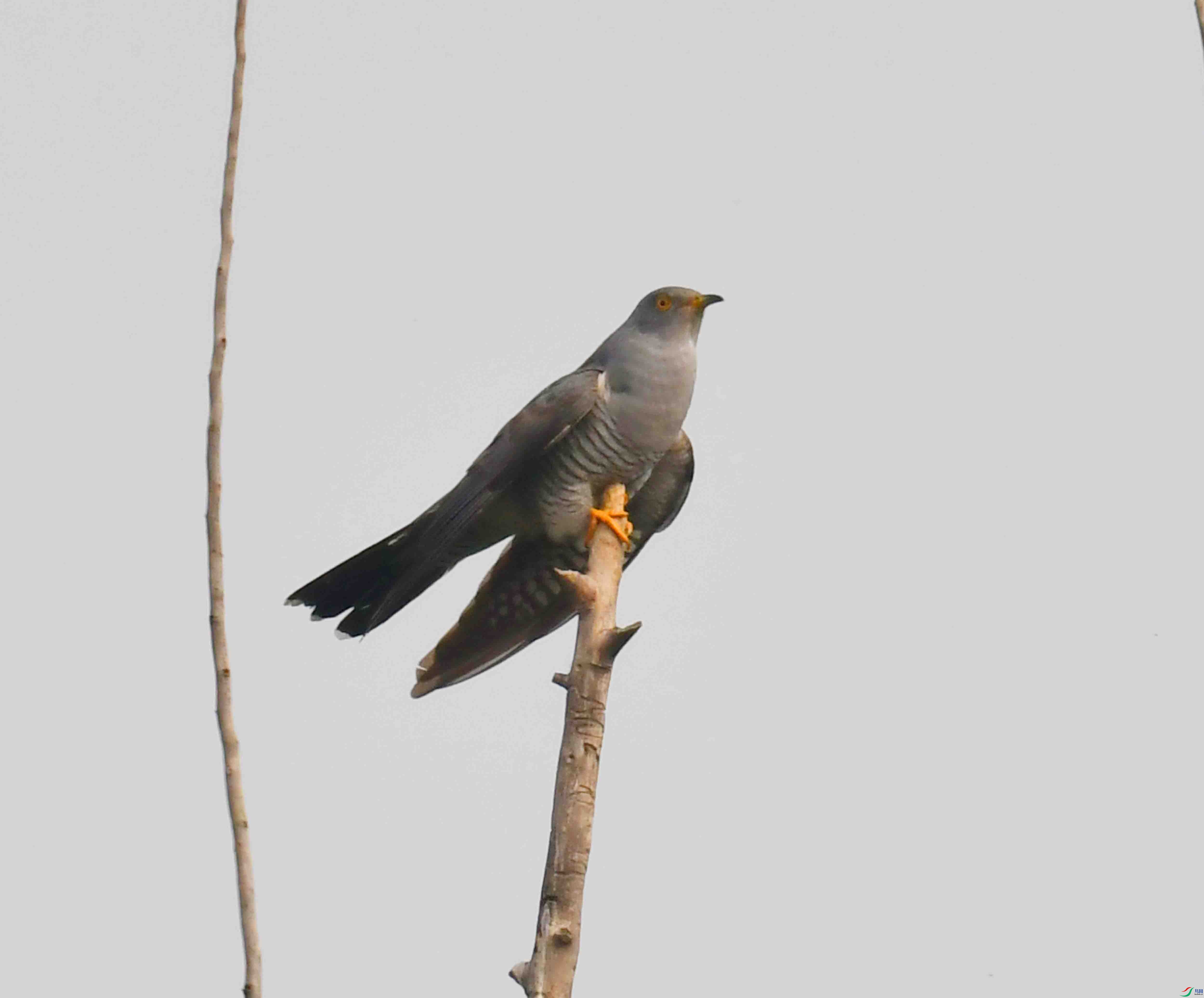 DSC_2263.JPG