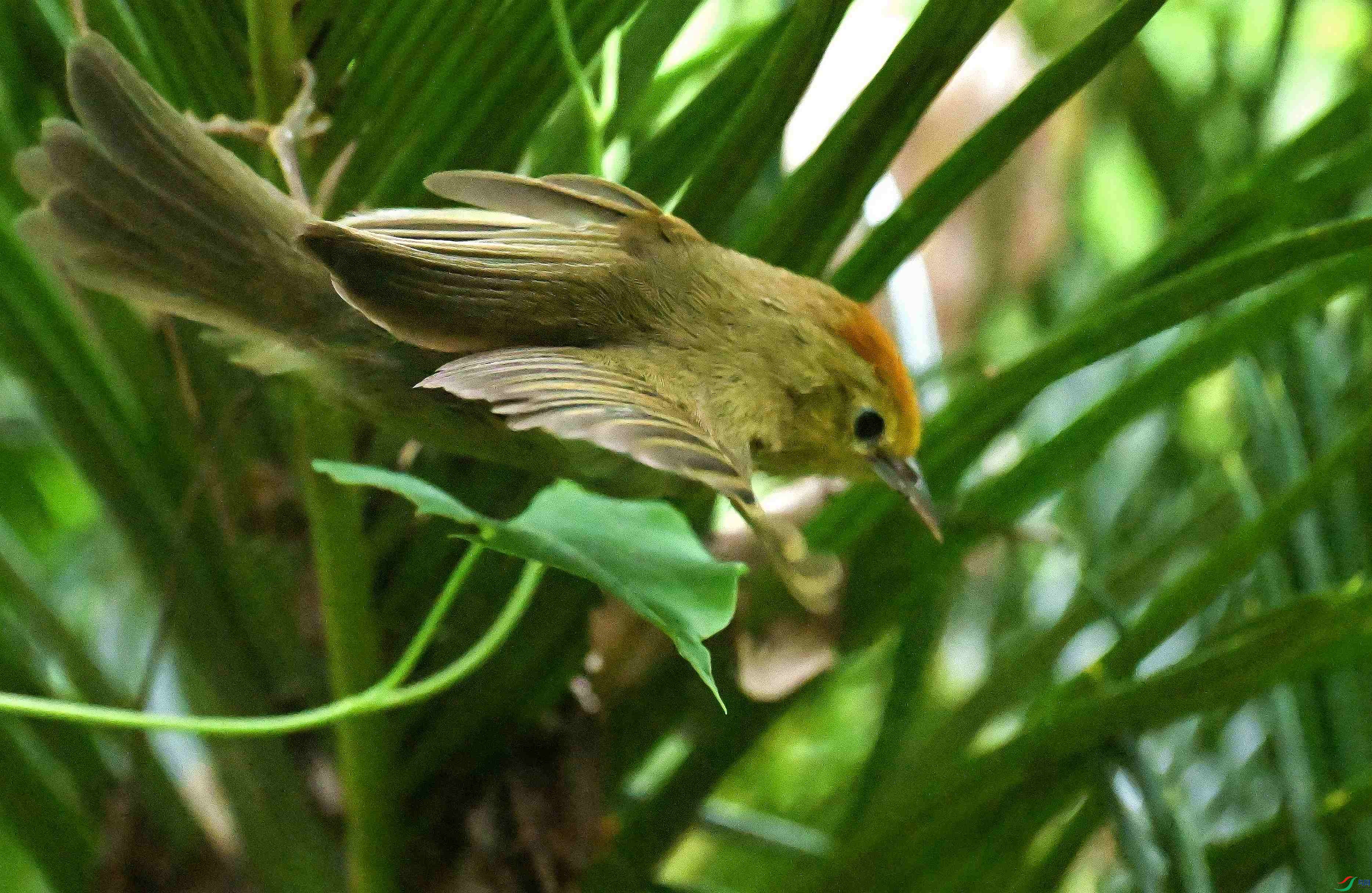 DSC_8639_����.jpg