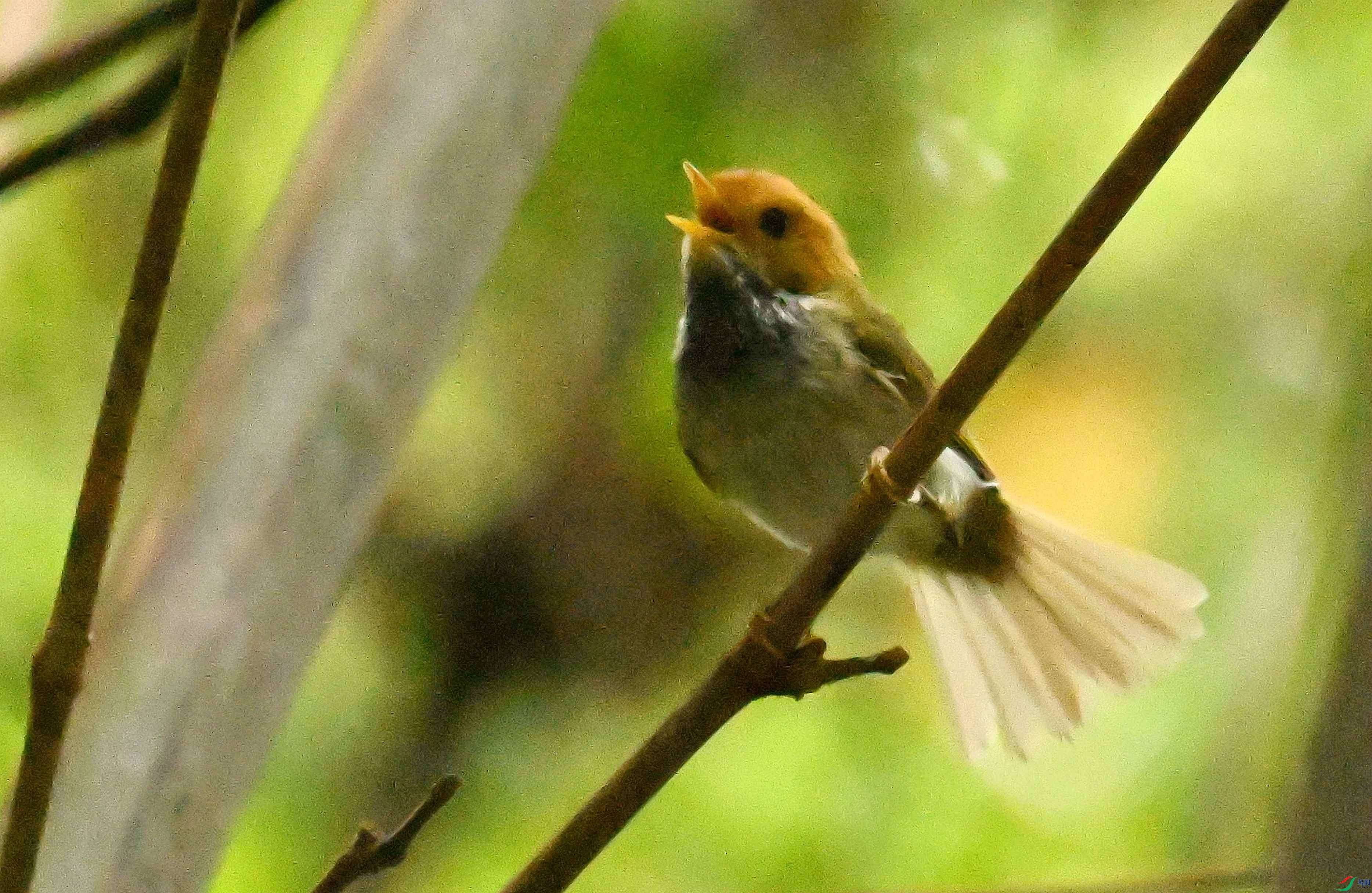 DSC_8642_����.jpg
