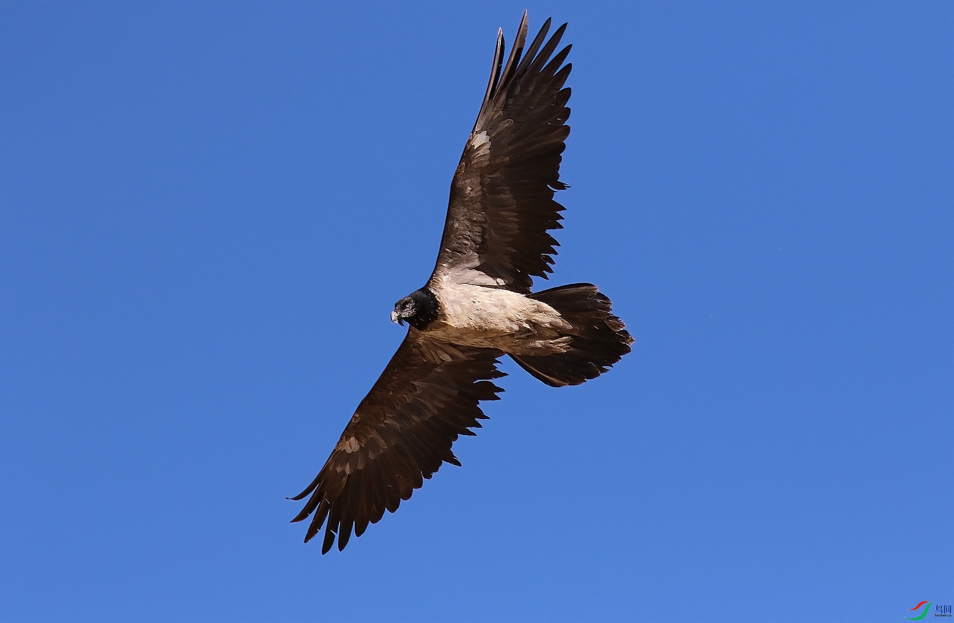 EC5A3876_����-DeNoiseAI-standard.jpg