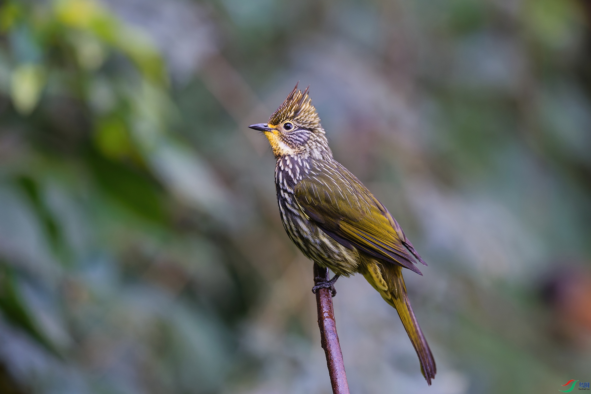 4DSC_2736_DxO_DxOa.jpg