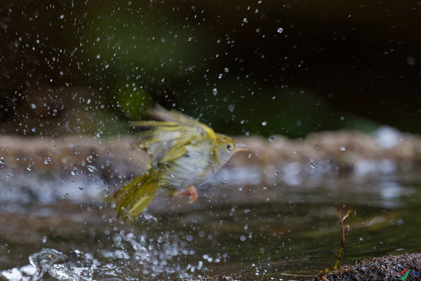 DSC_7377_DxO_DxOa.jpg