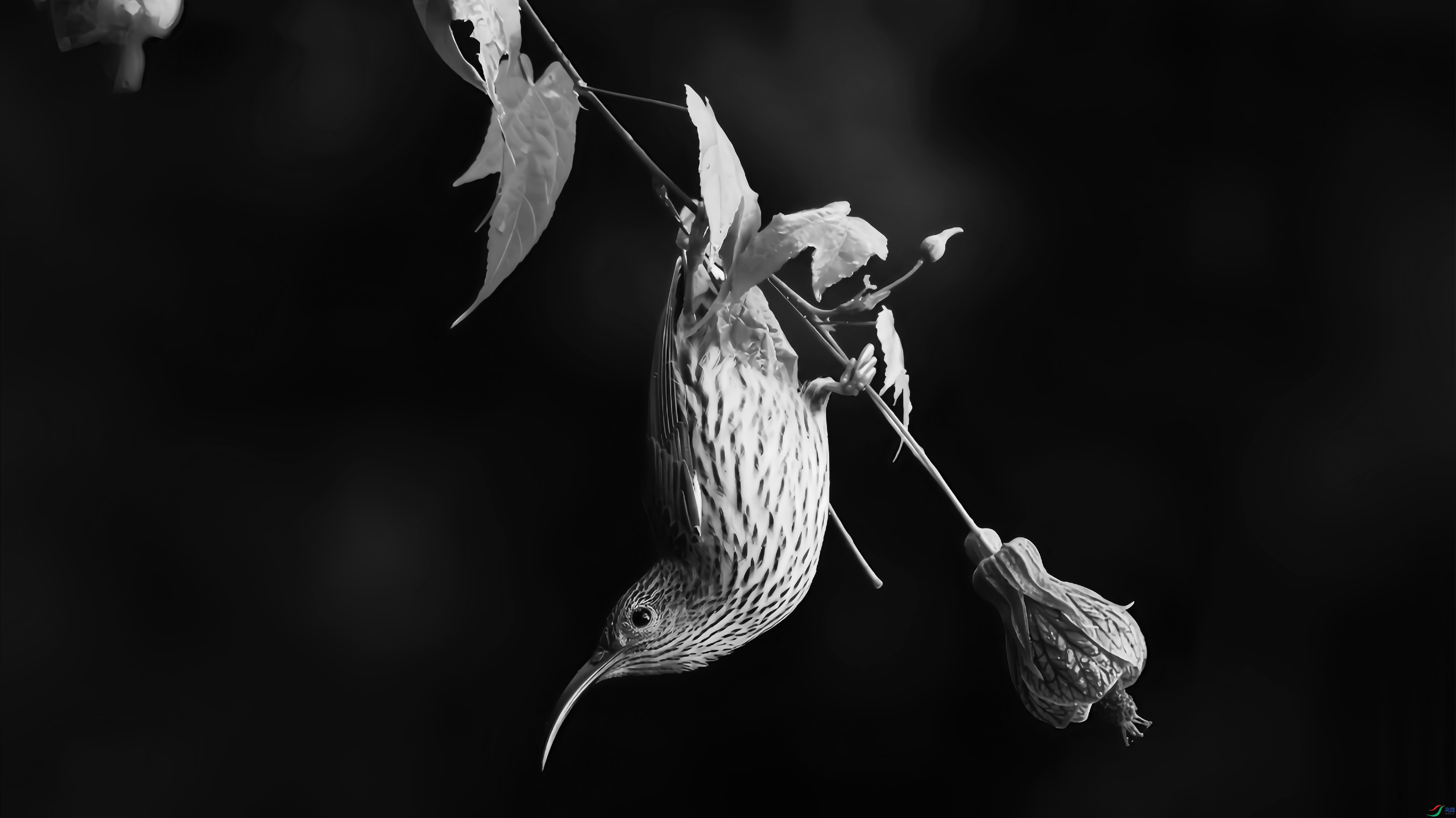 2F6A7987_����_����_����.jpg