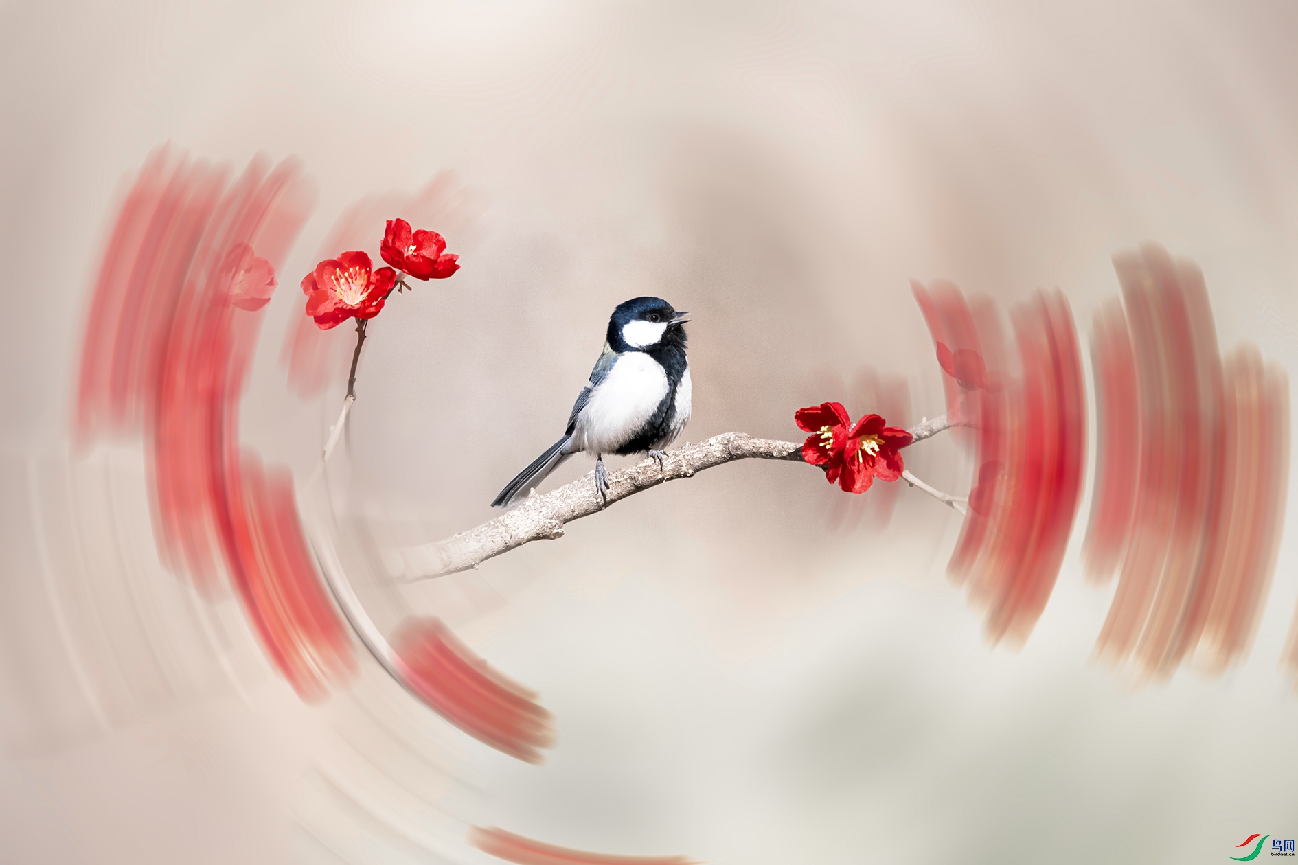 DSC_3943_��ͼ�� ���� 2.jpg