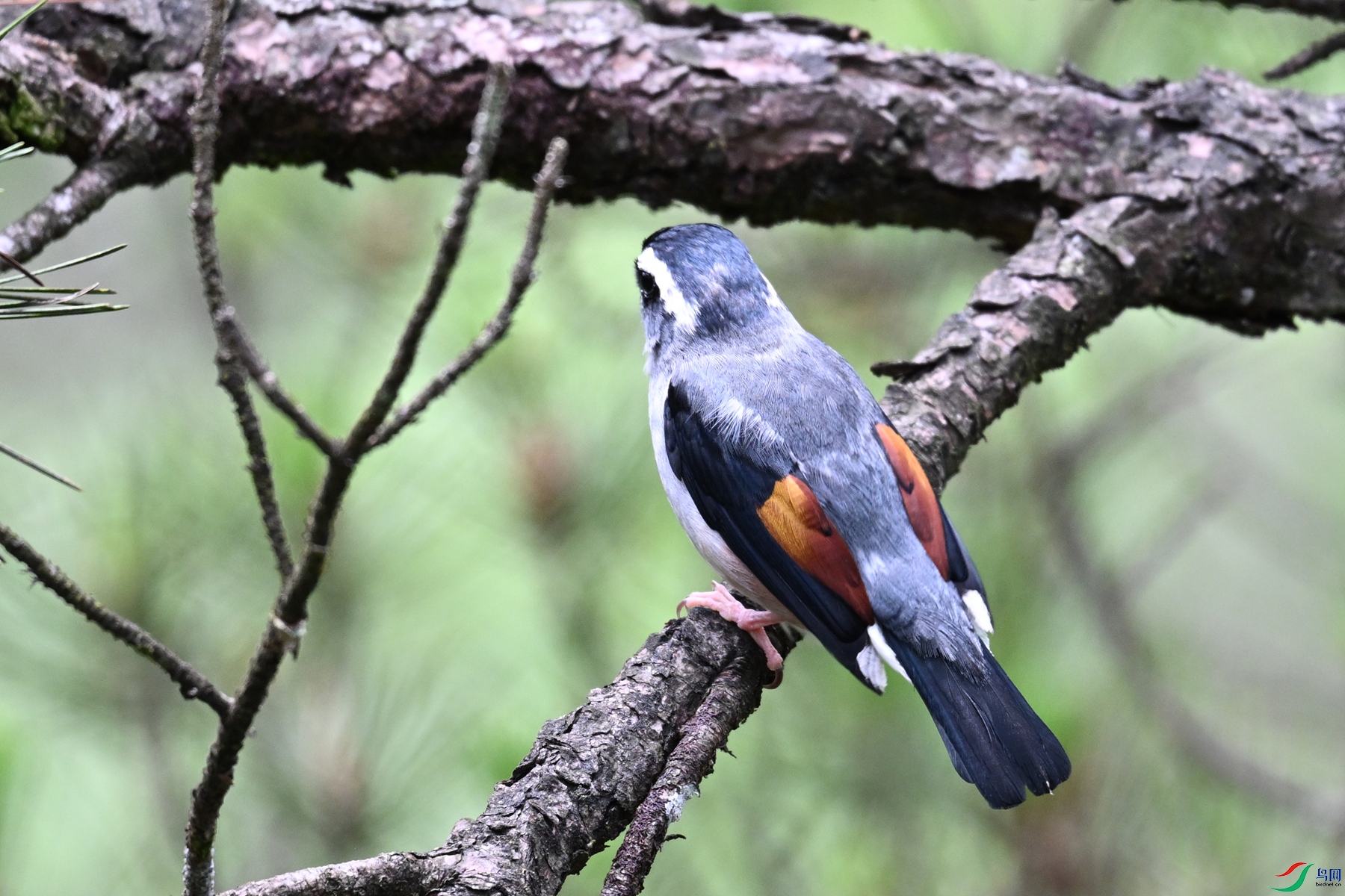 DSC_1013.JPG