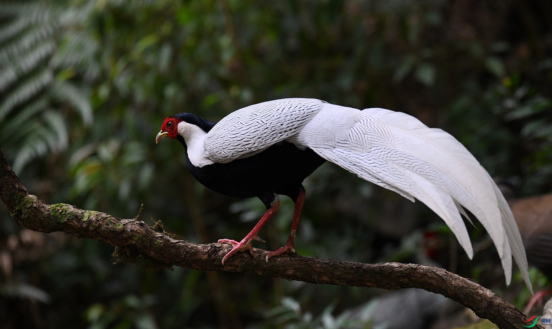 DSC_6044.jpg