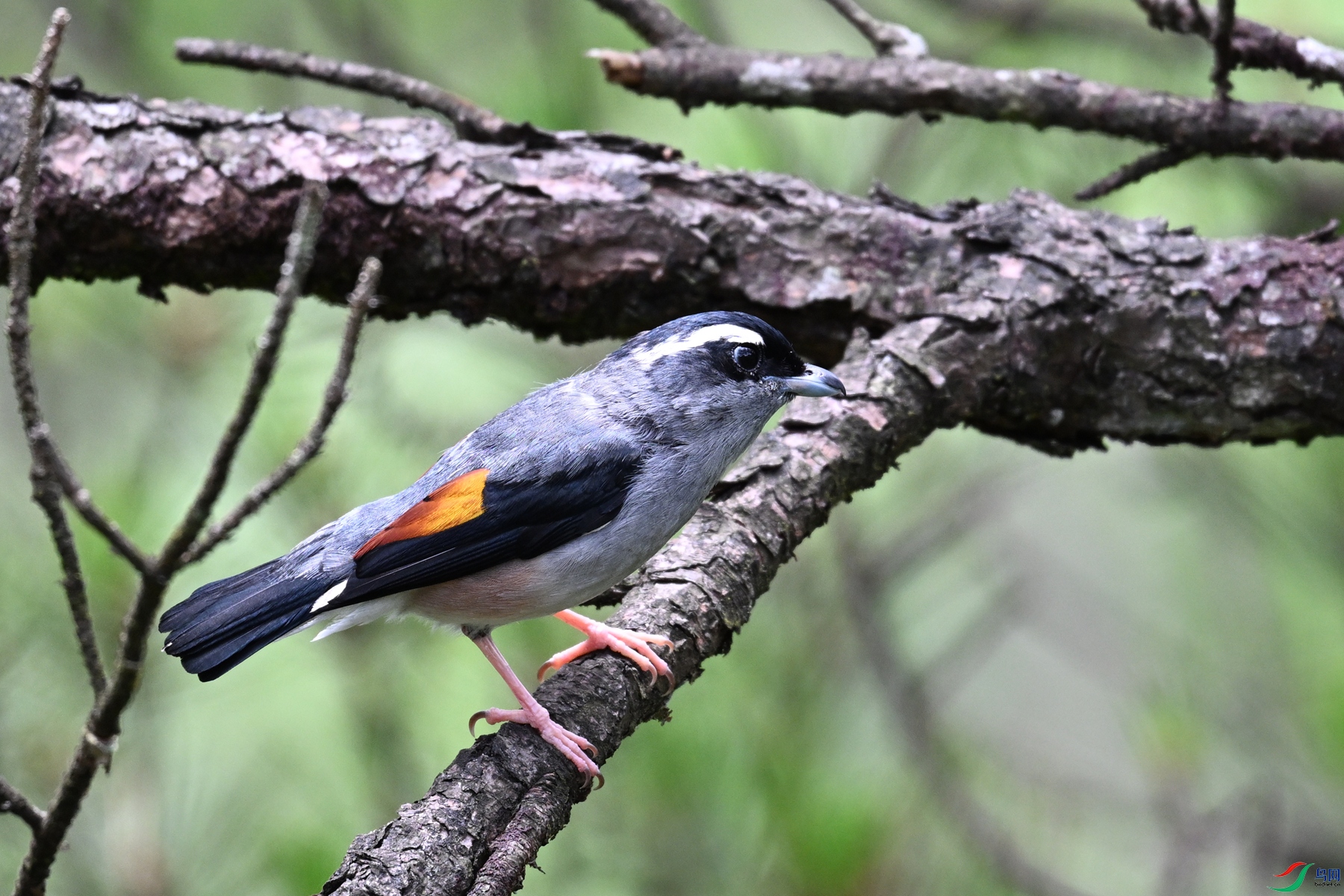DSC_1025.JPG