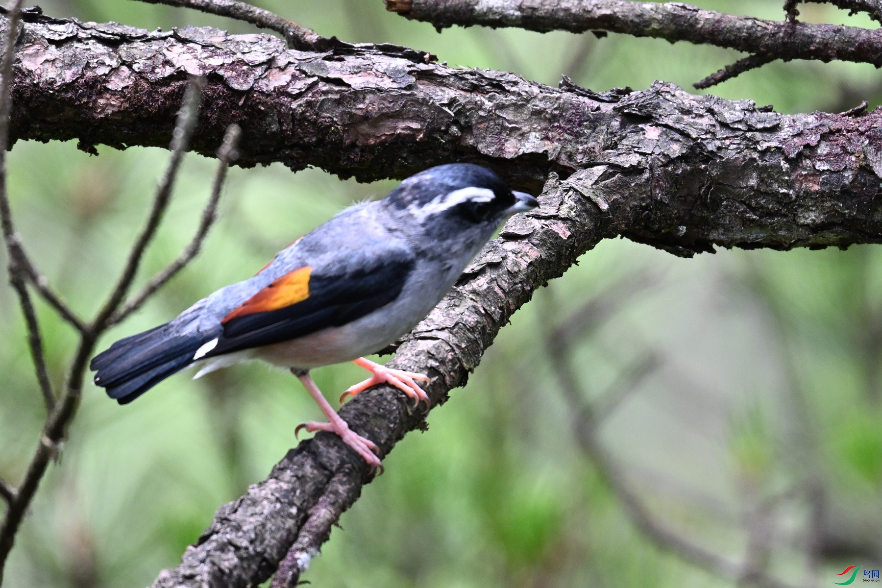 DSC_1028.JPG