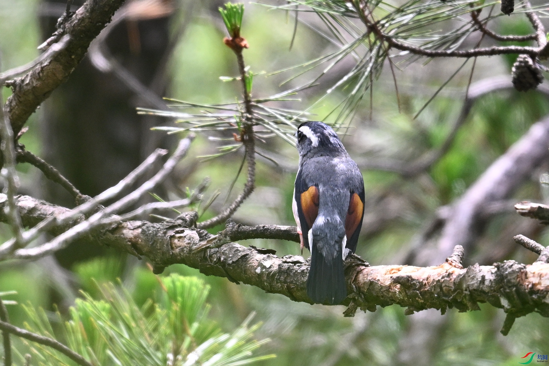 DSC_0996.JPG