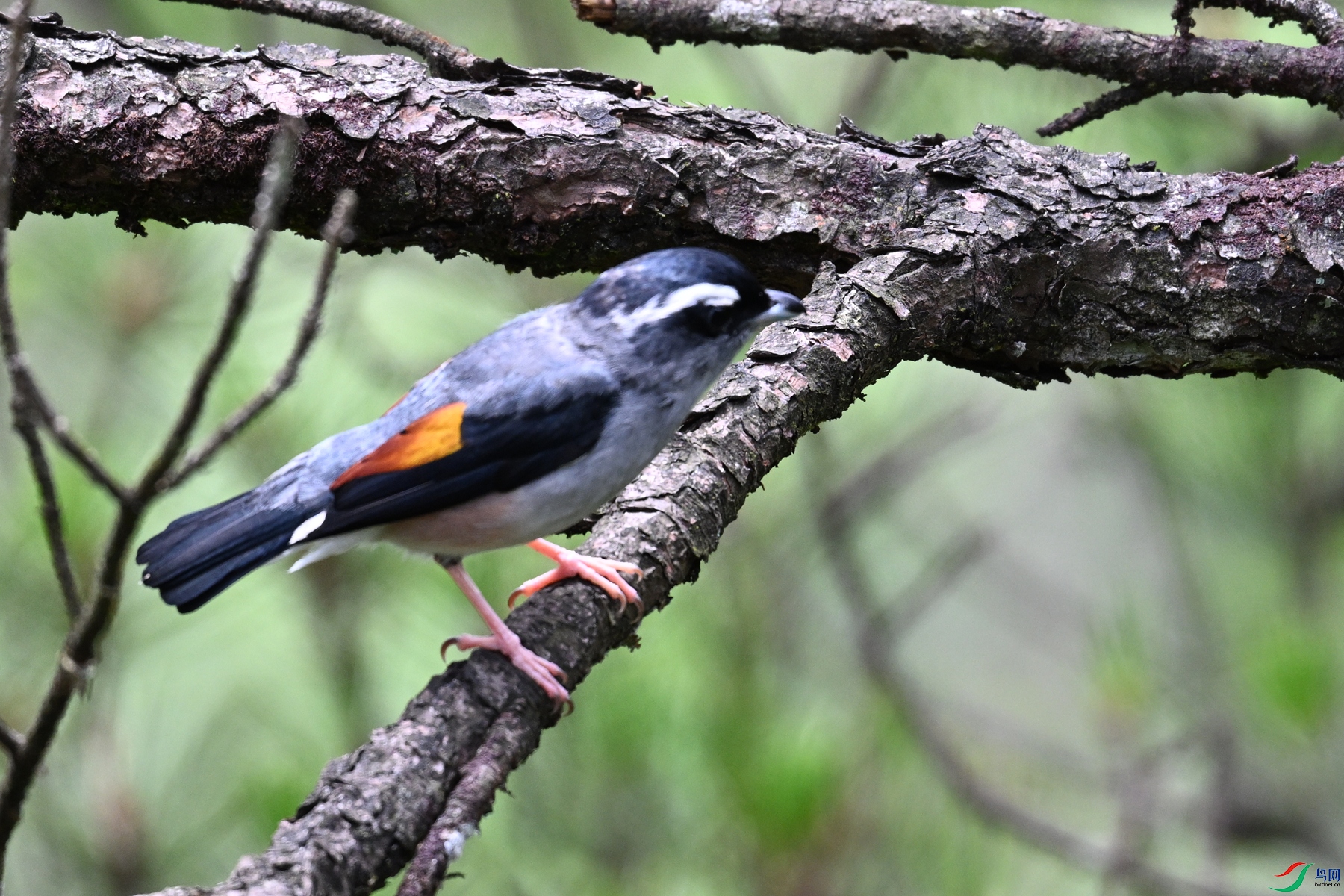 DSC_1027.JPG