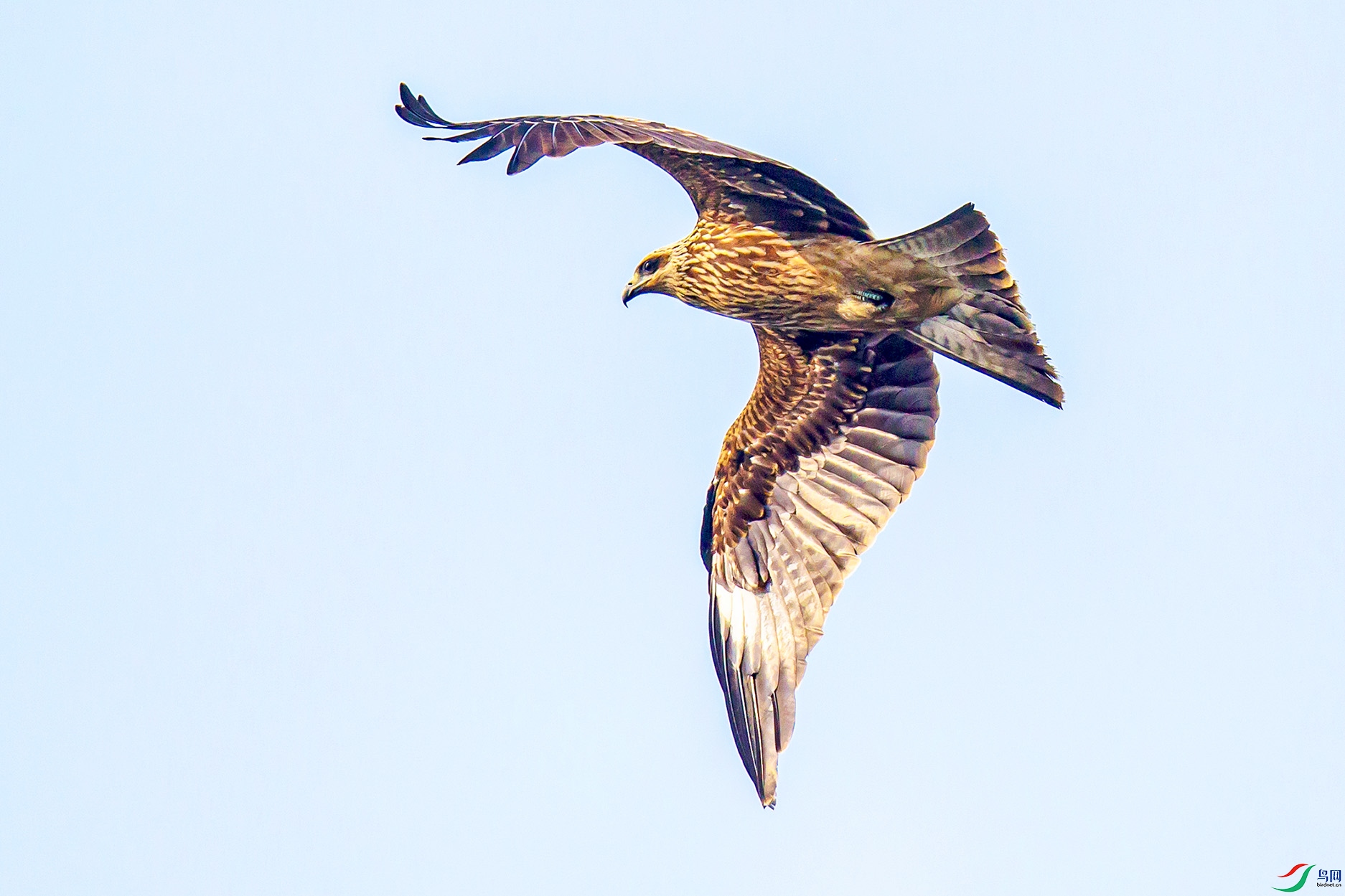 _MG_0012 ����.jpg