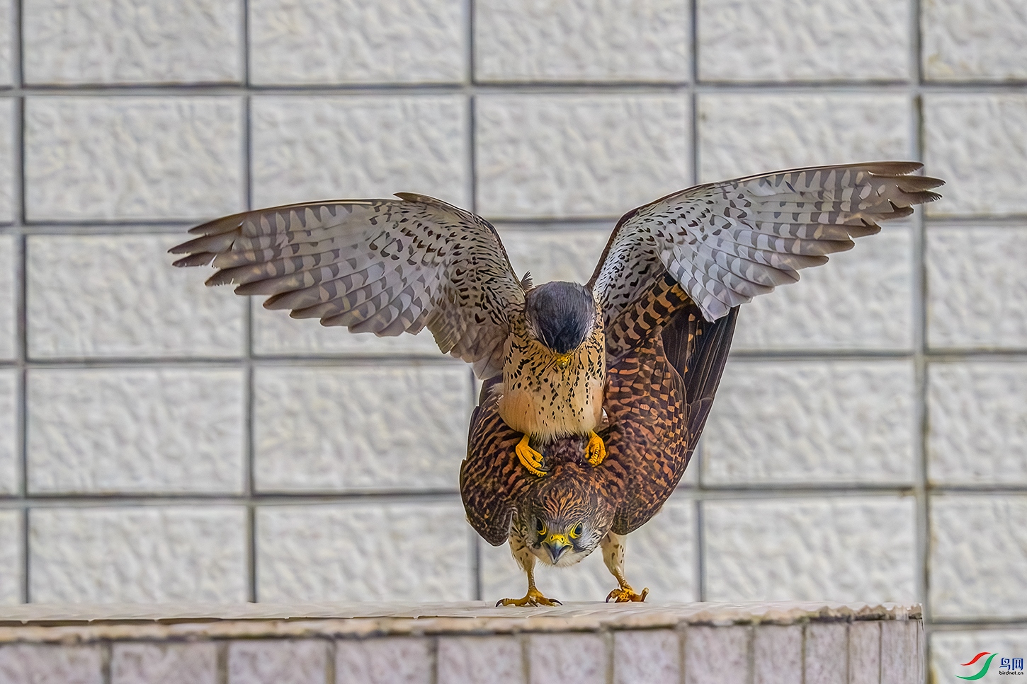 DSC_1858b.jpg