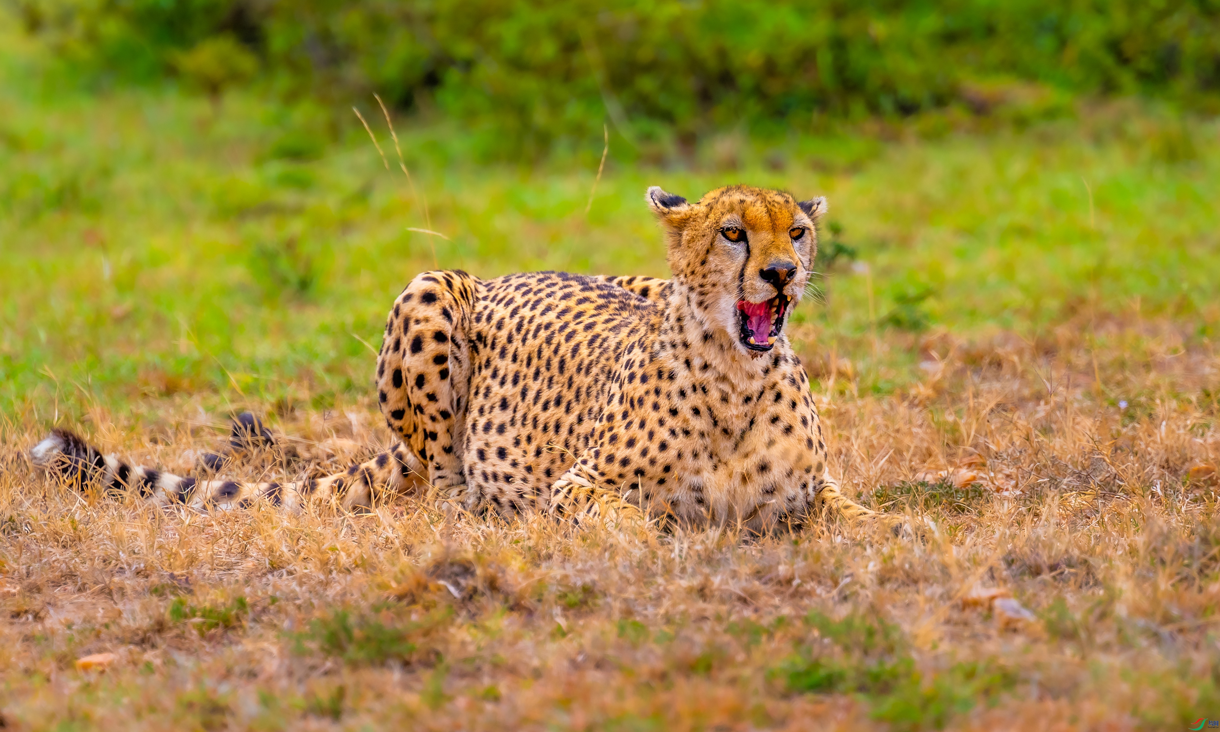 DSC_1455.jpg