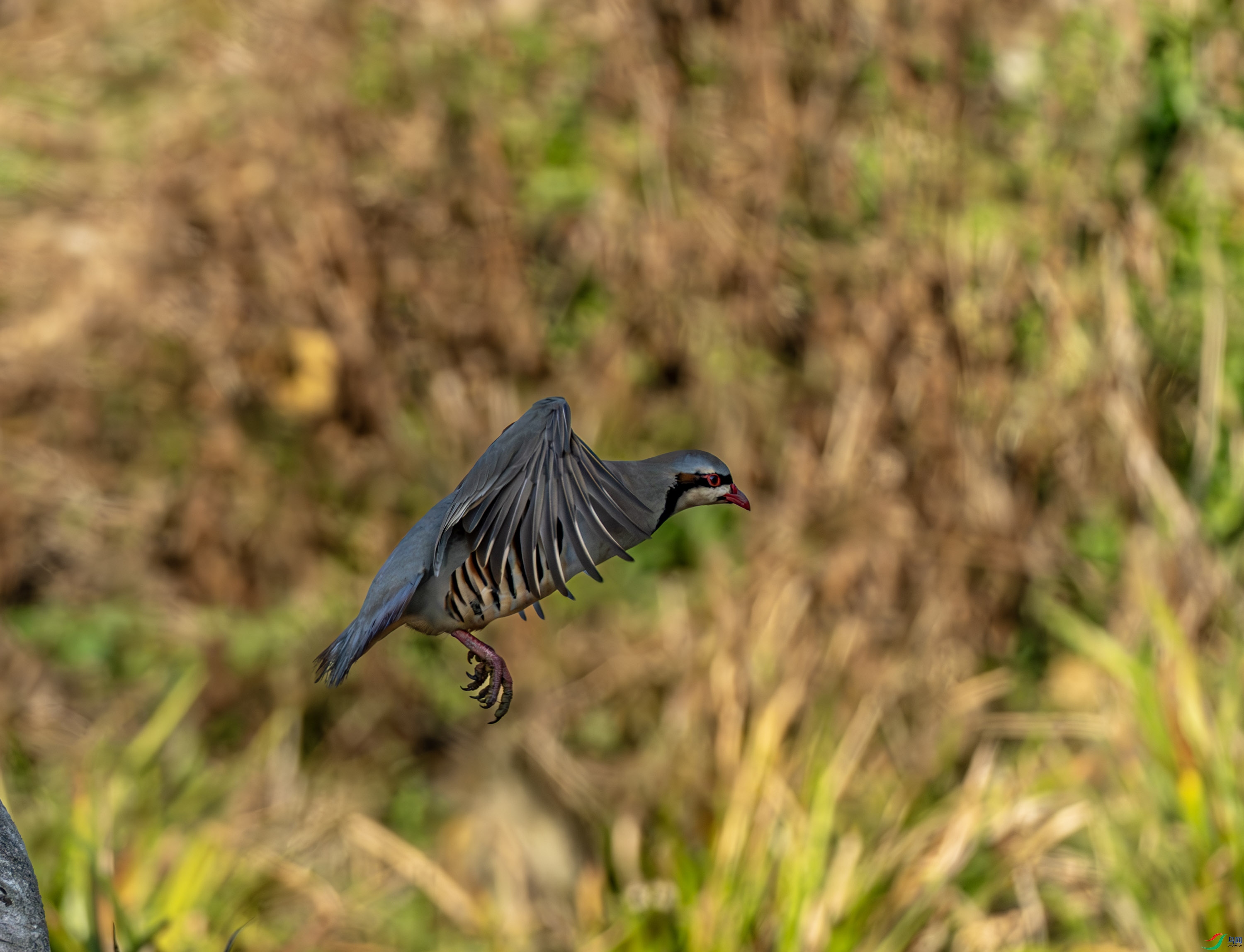 ʯ��-01-2.jpg