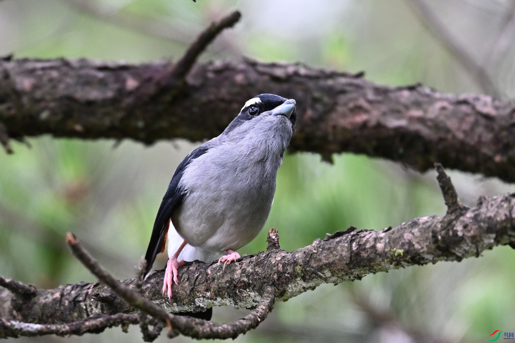 DSC_1060.JPG