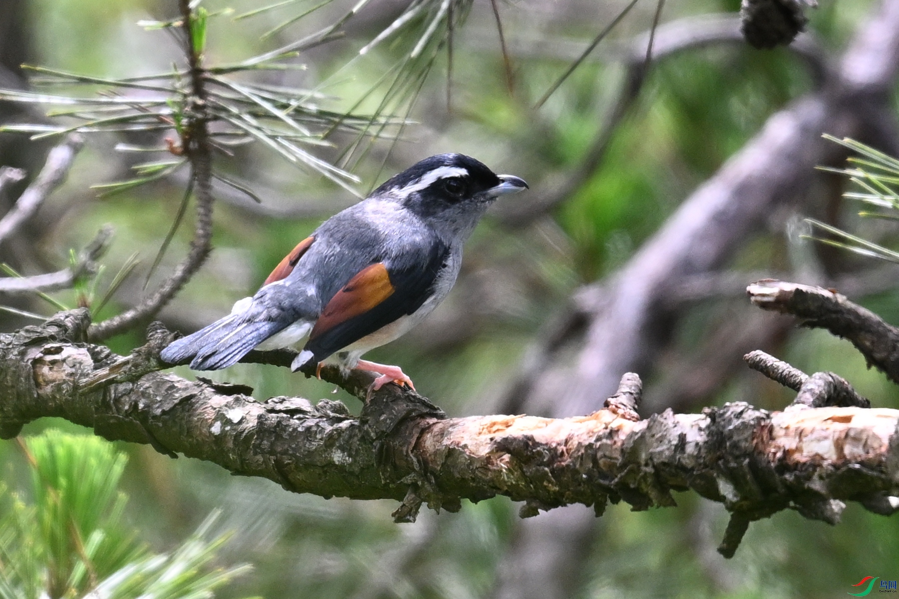 DSC_0997.JPG