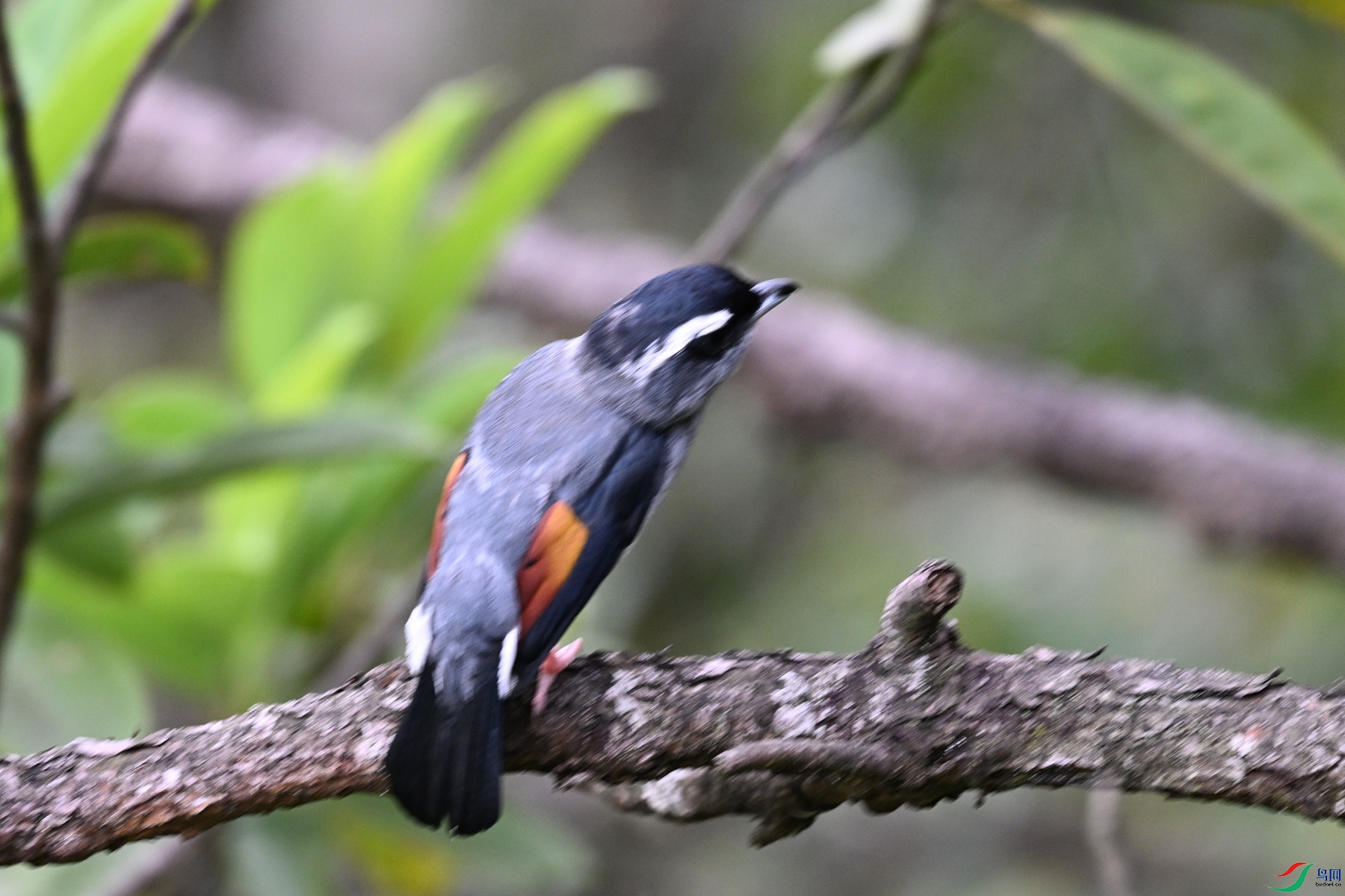DSC_1039.JPG