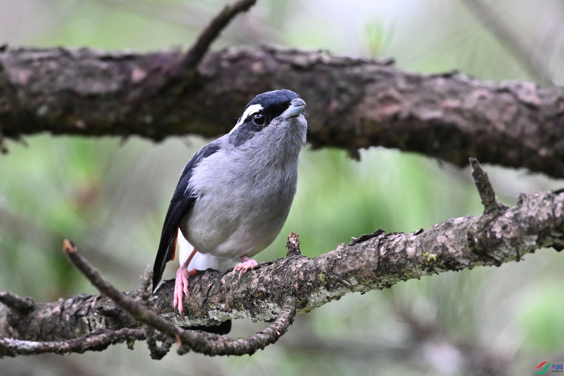 DSC_1068.JPG