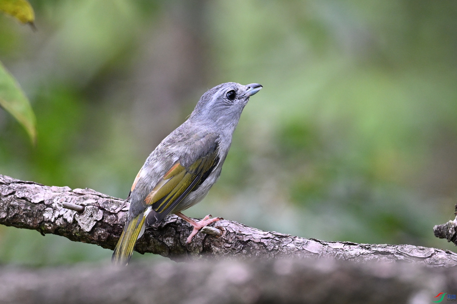 DSC_1045.JPG
