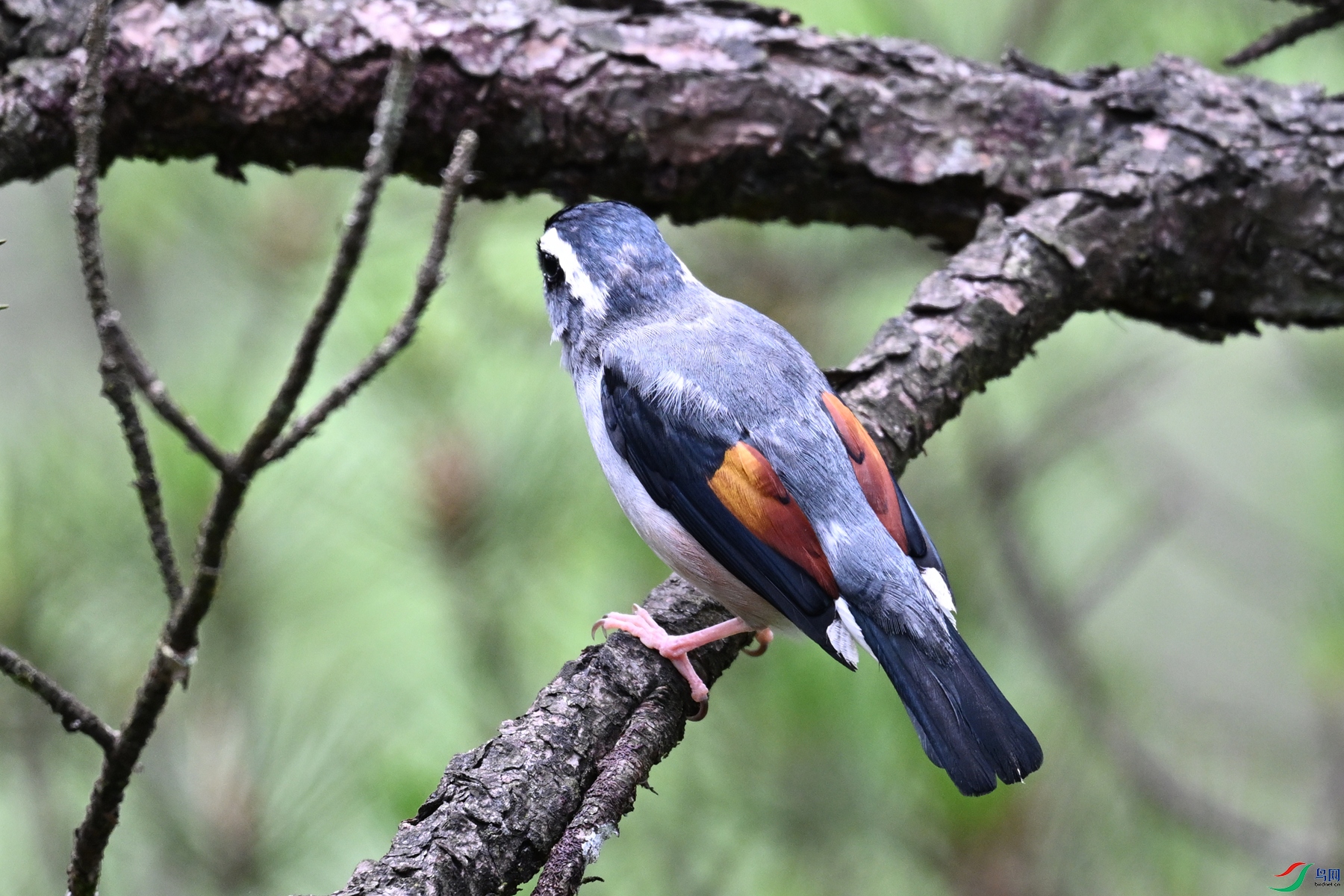 DSC_1015.JPG